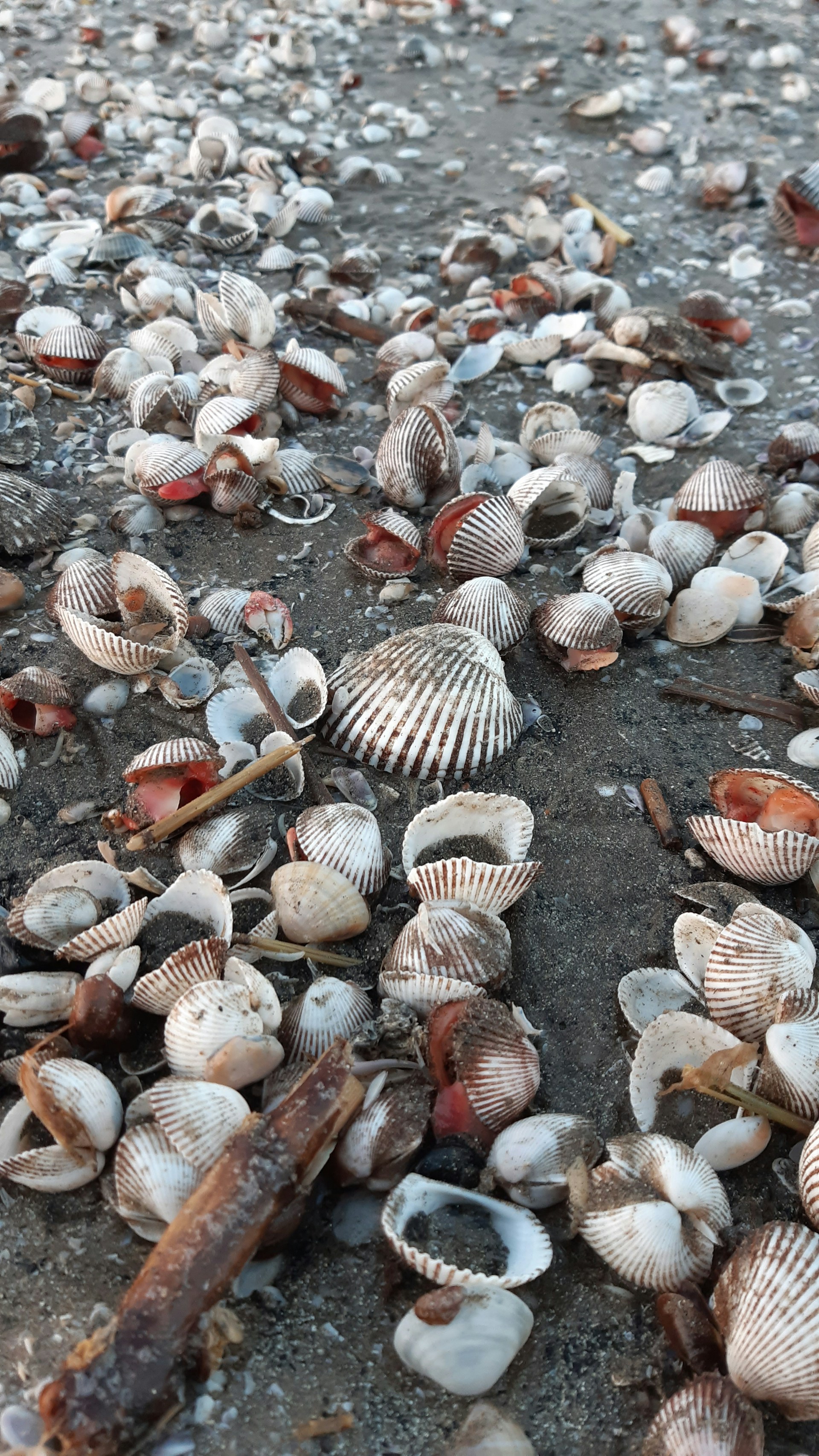 gray computer monitor