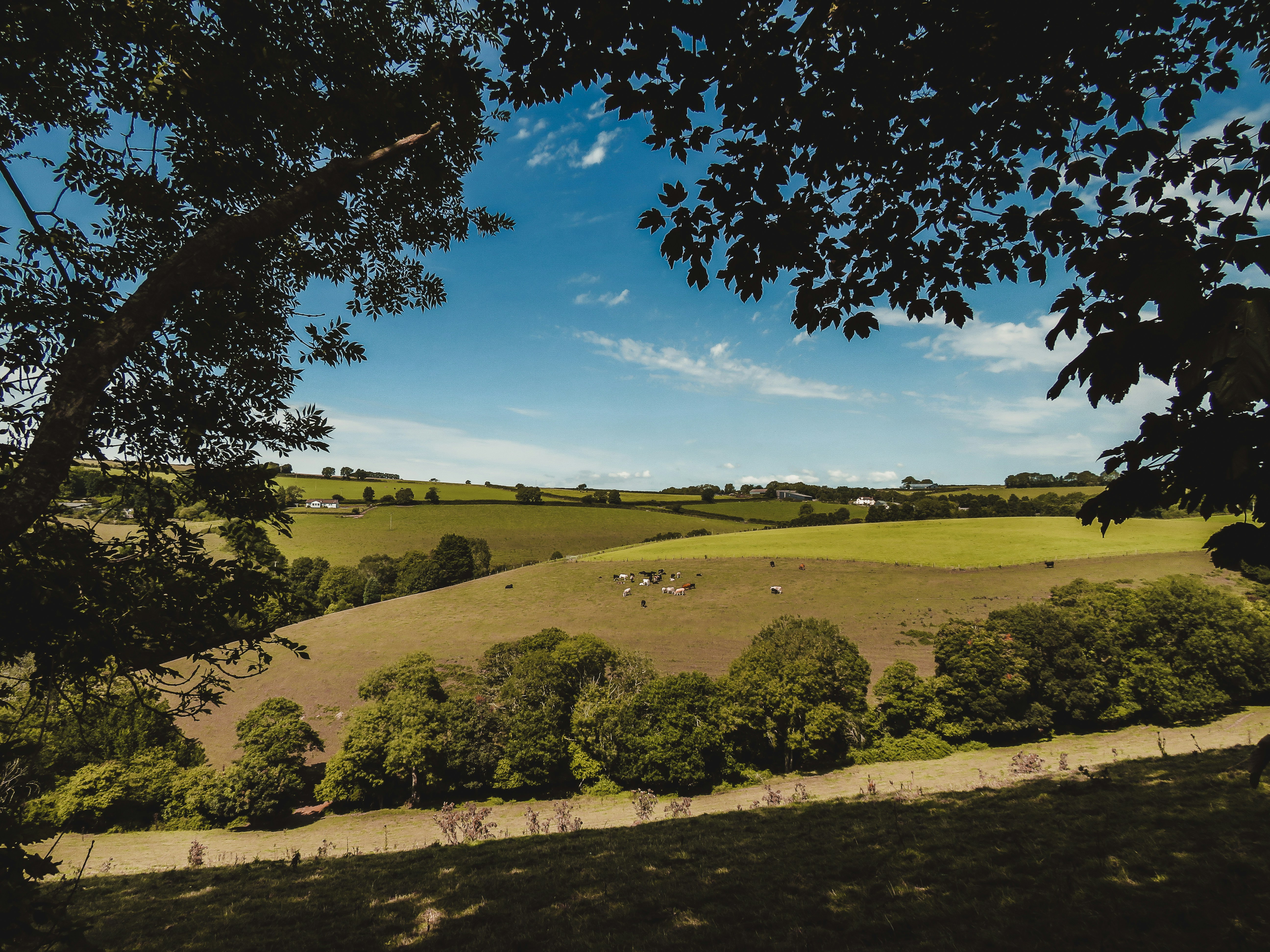 Photo by jbcphotography