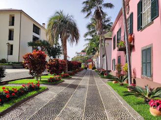 Lush gardens bursting with tropical flowers framing a cobblestone street in Funchal