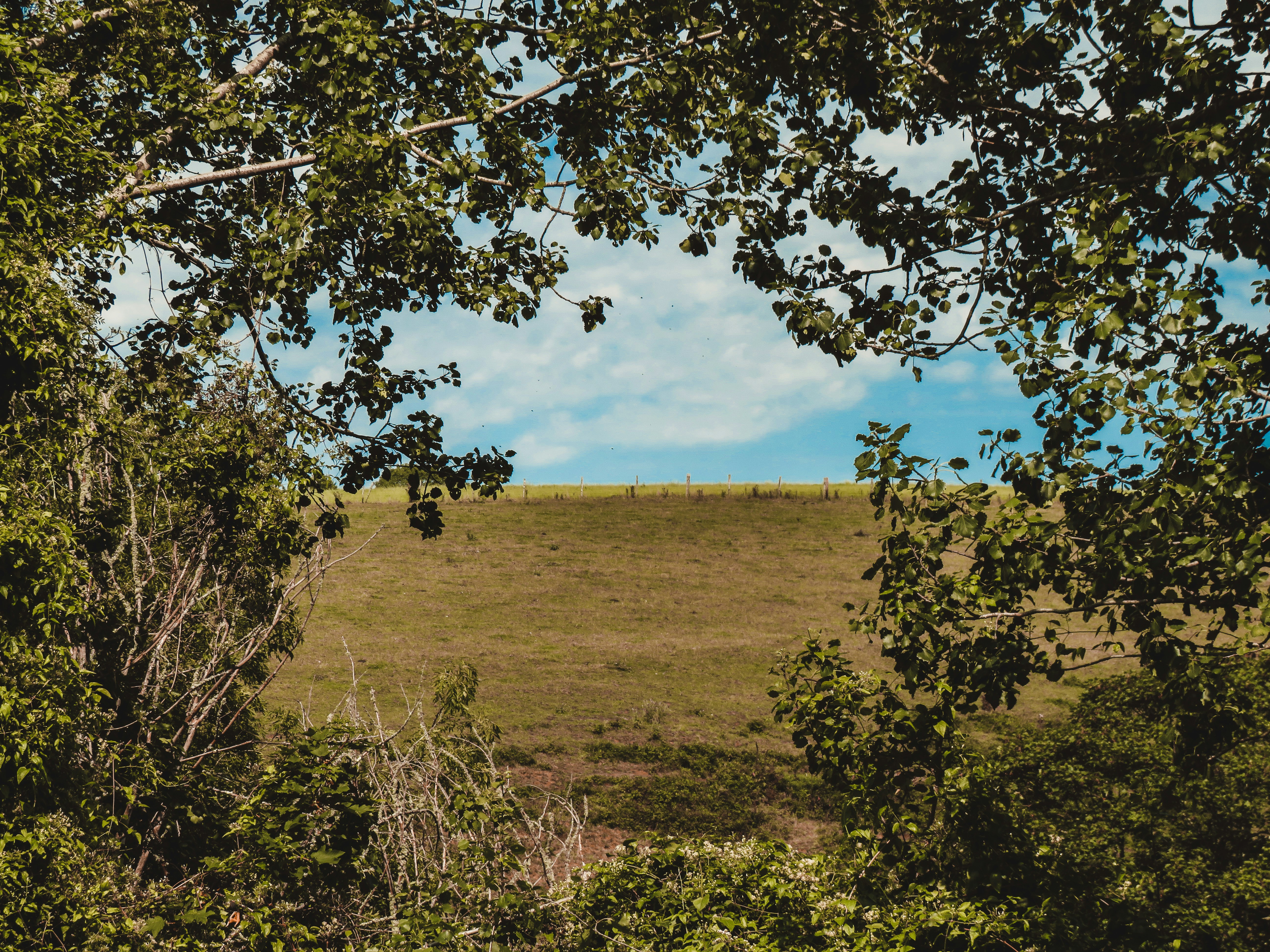 Photo by jbcphotography