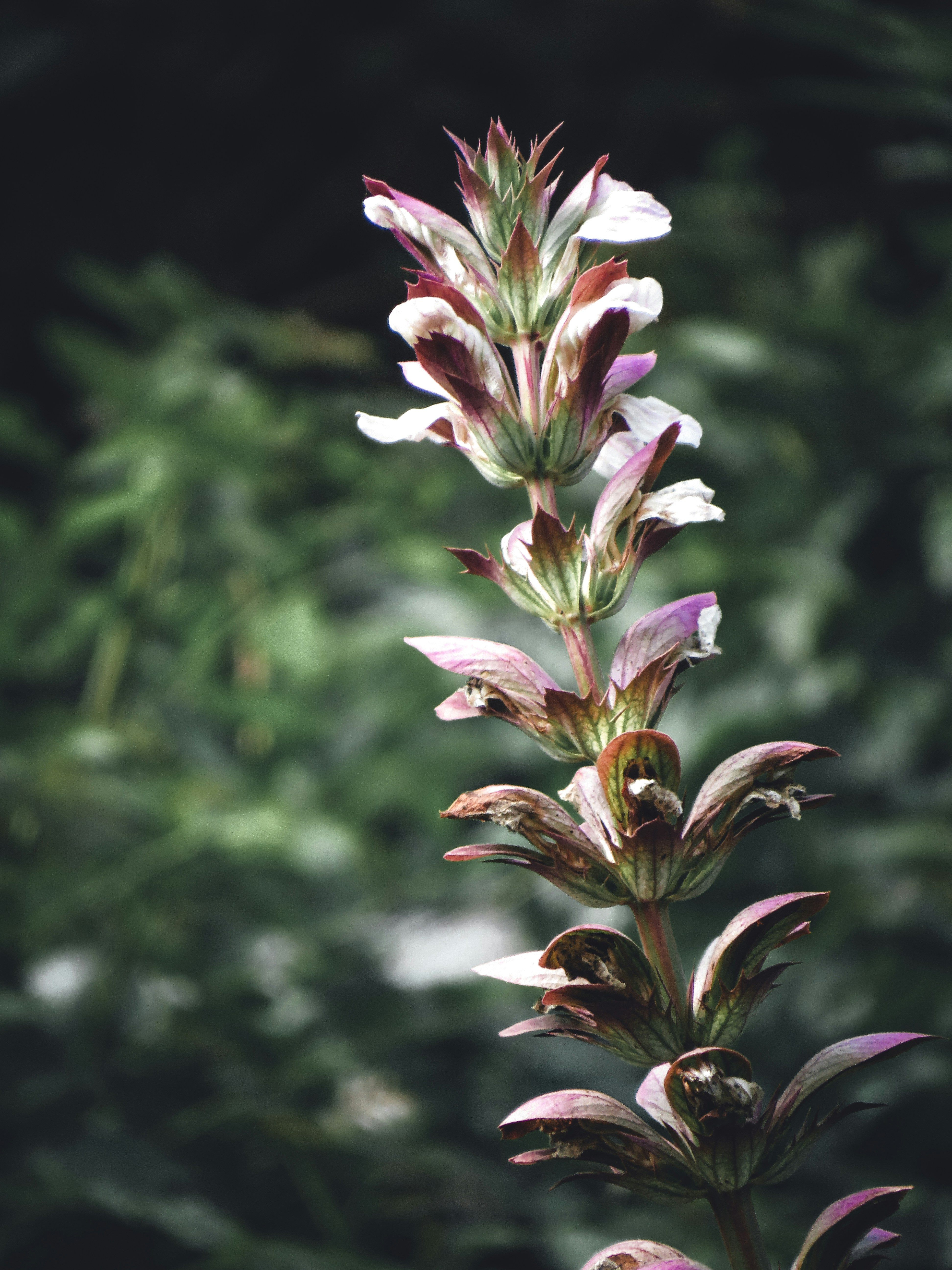 Photo by jbcphotography