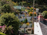 A wide-angle shot of a terraced garden with stone retaining walls and a variety of plants cascading down the slopes