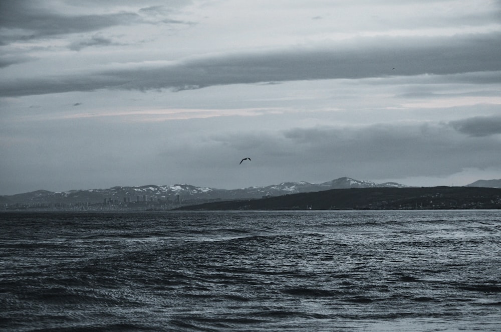 a bird flying over a body of water