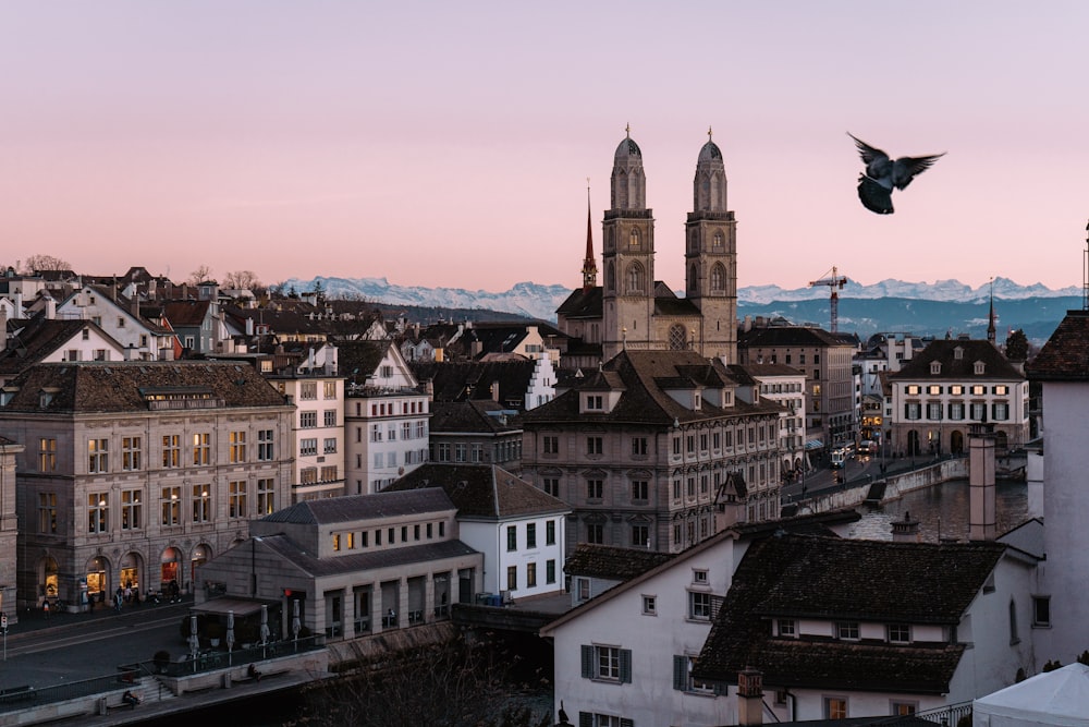 a bird flying over a city with tall buildings