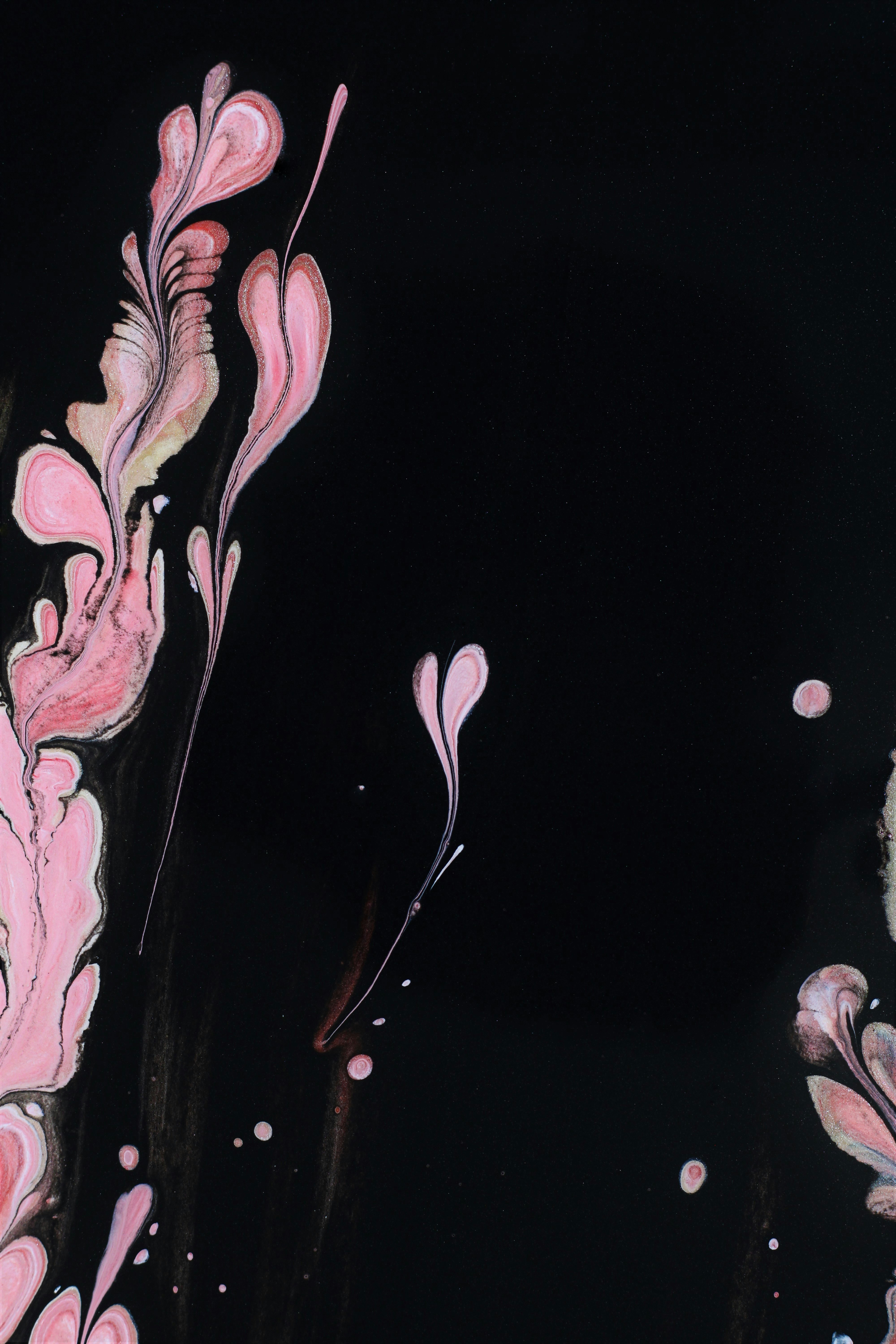 Photo by susan_wilkinson