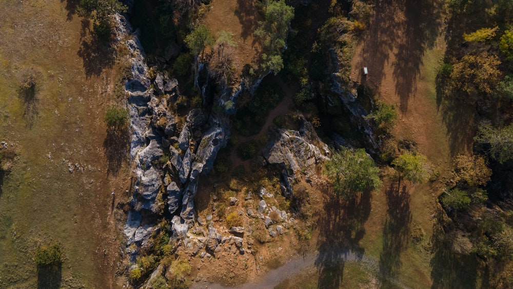 an aerial view of a dirt road in the woods