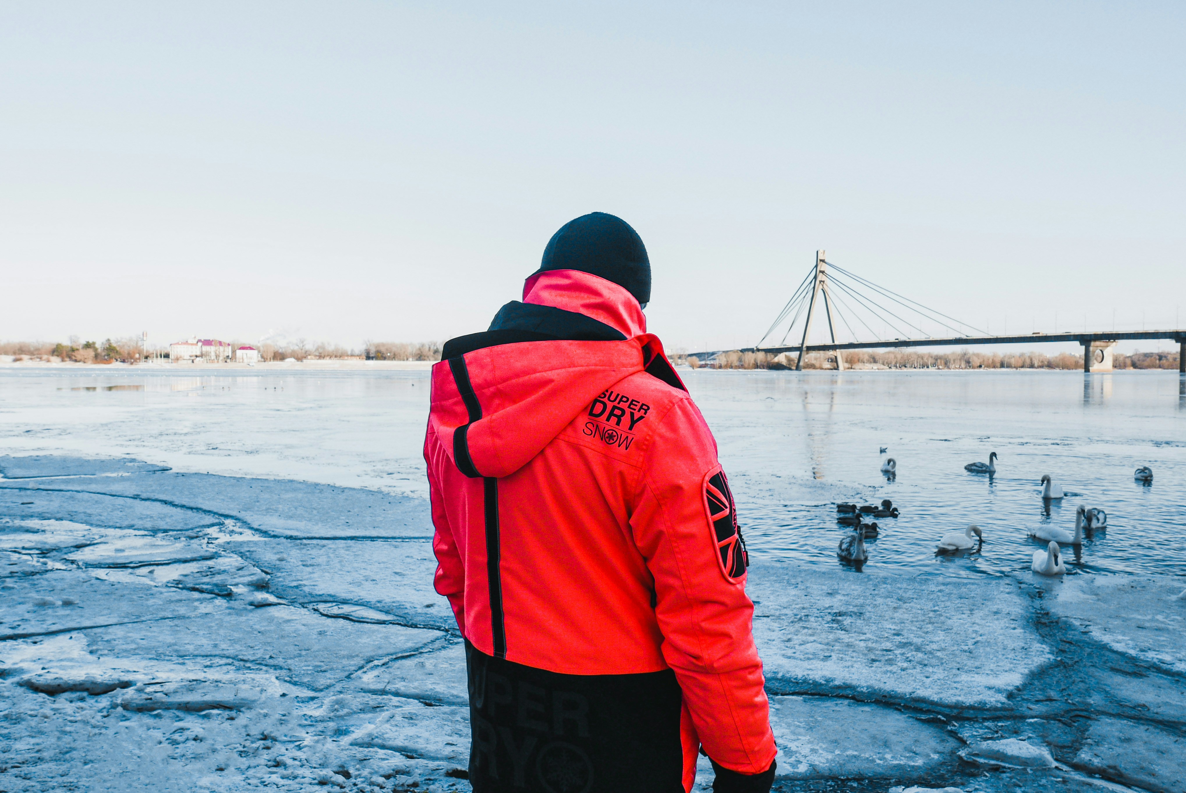 Photo by vitalymazur