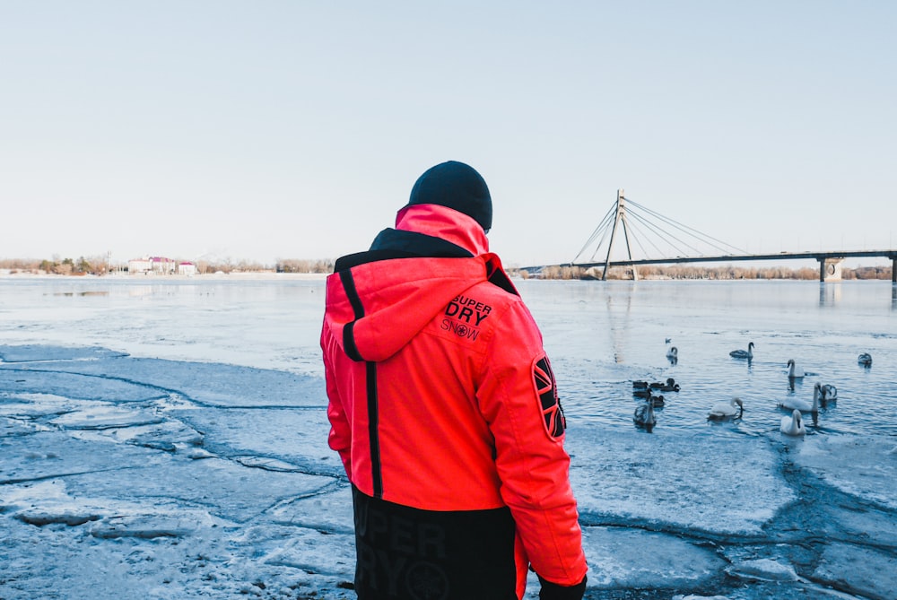 a man in a red jacket is looking at ducks