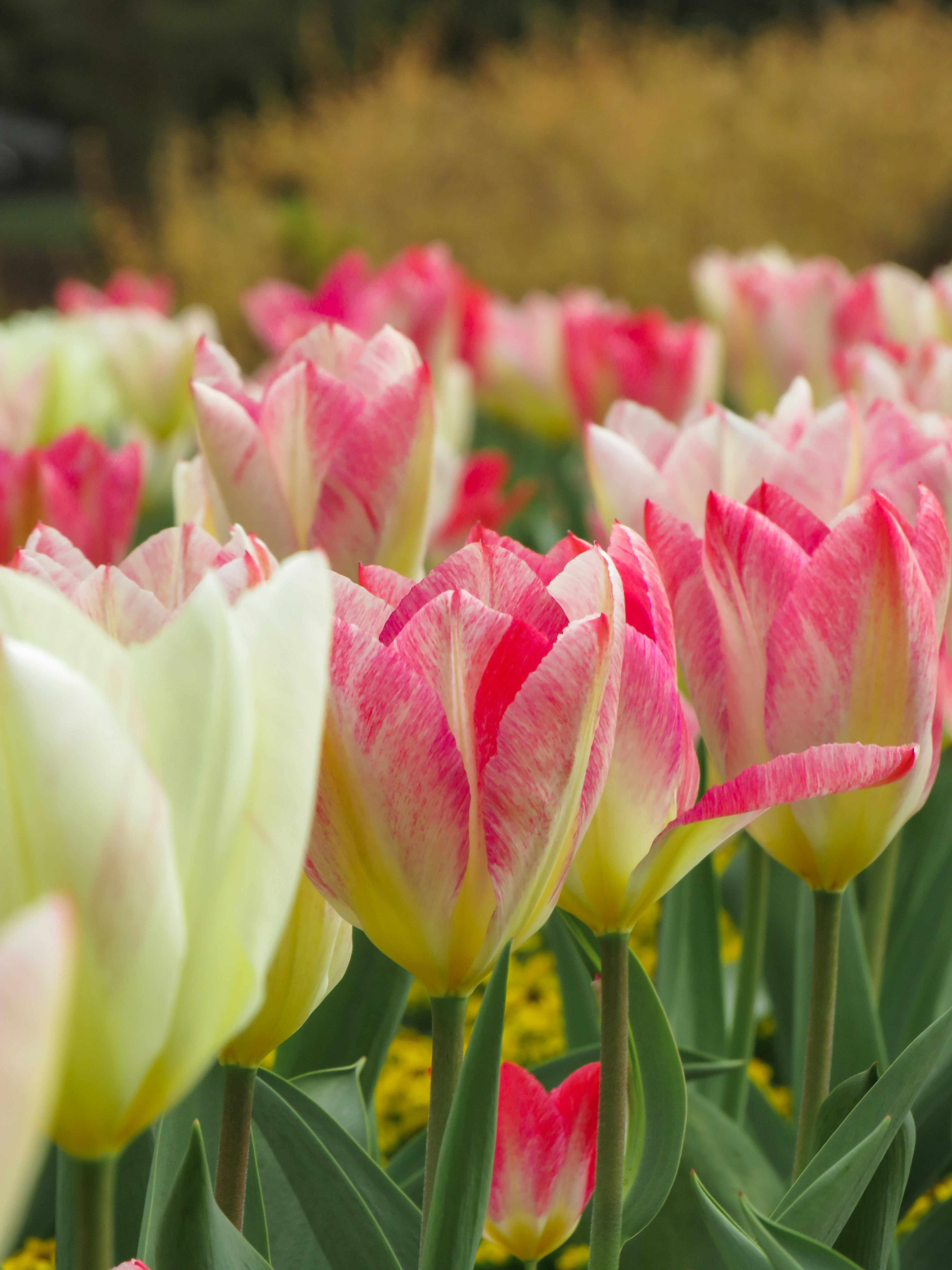 Photo by jbcphotography