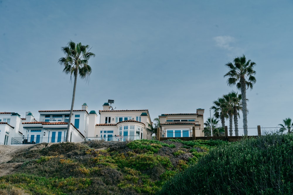 uma casa em uma colina com palmeiras