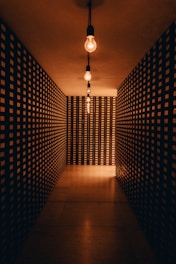 a dimly lit hallway with checkered walls and a light bulb