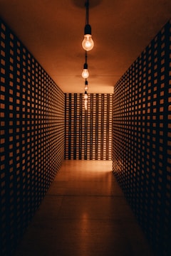 a dimly lit hallway with checkered walls and a light bulb
