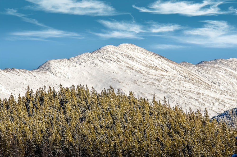 a snow covered mountain with trees in the foreground