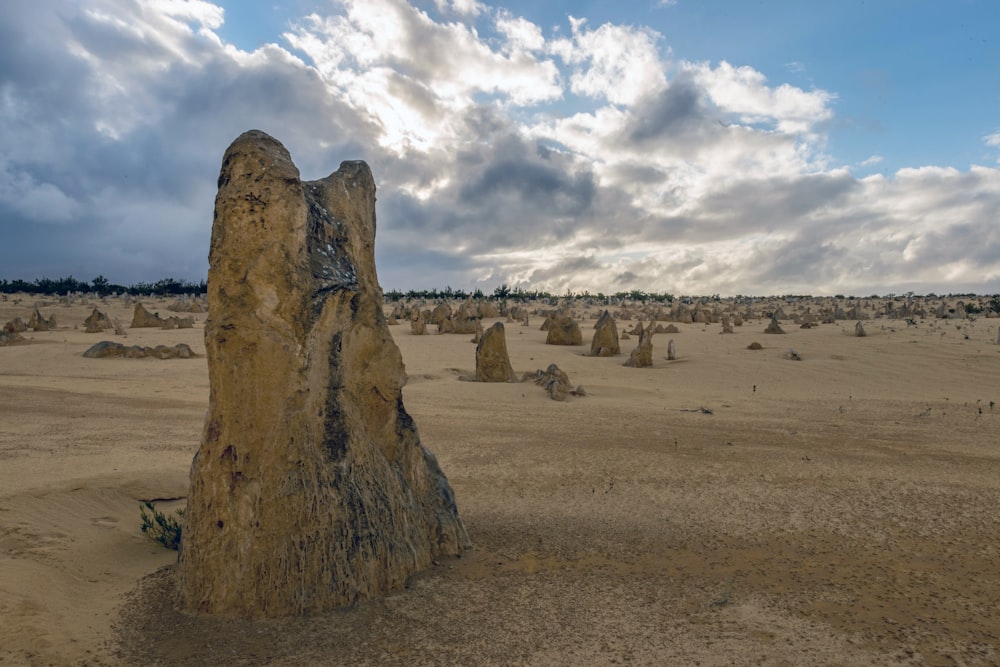 Una grande roccia nel mezzo di un deserto