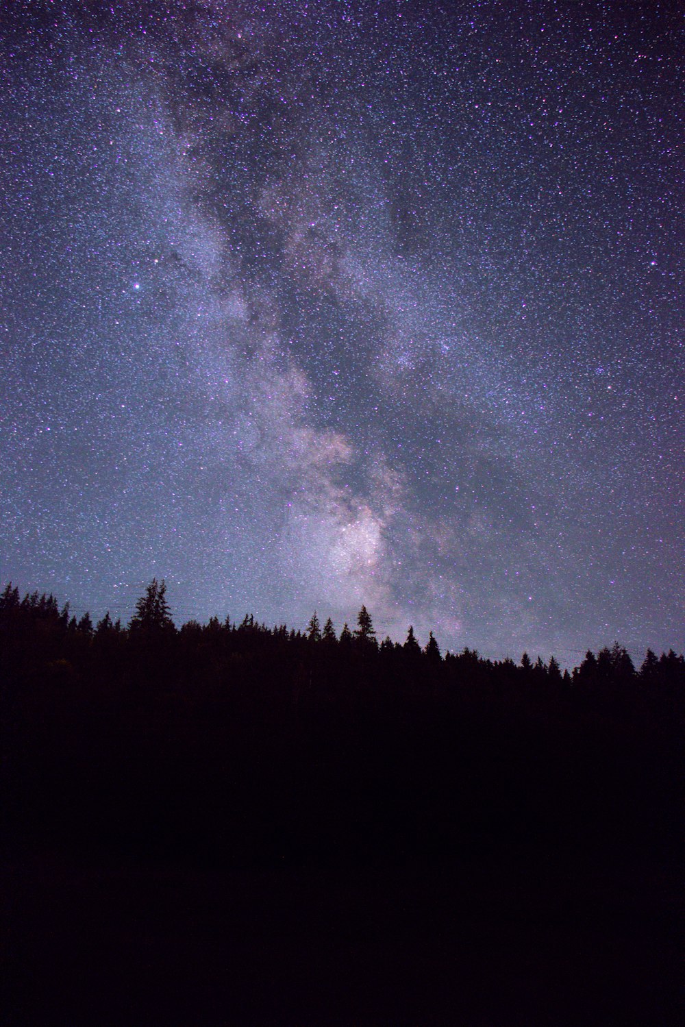 the night sky is filled with stars and trees