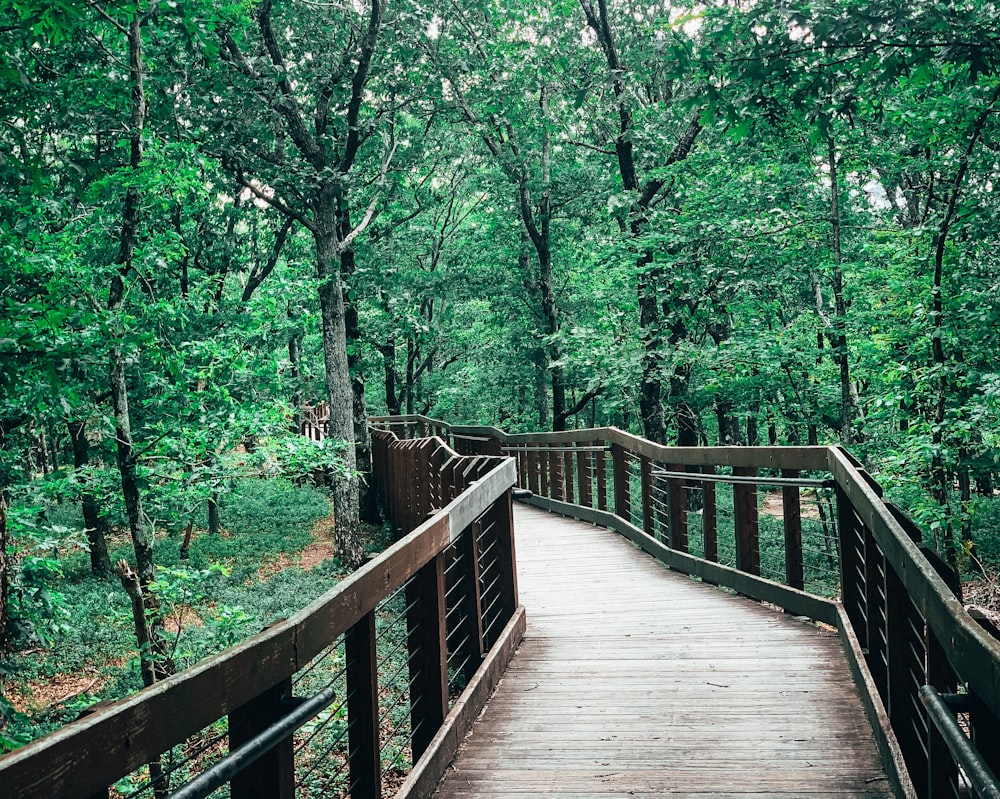 a wooden bridge in the middle of a forest