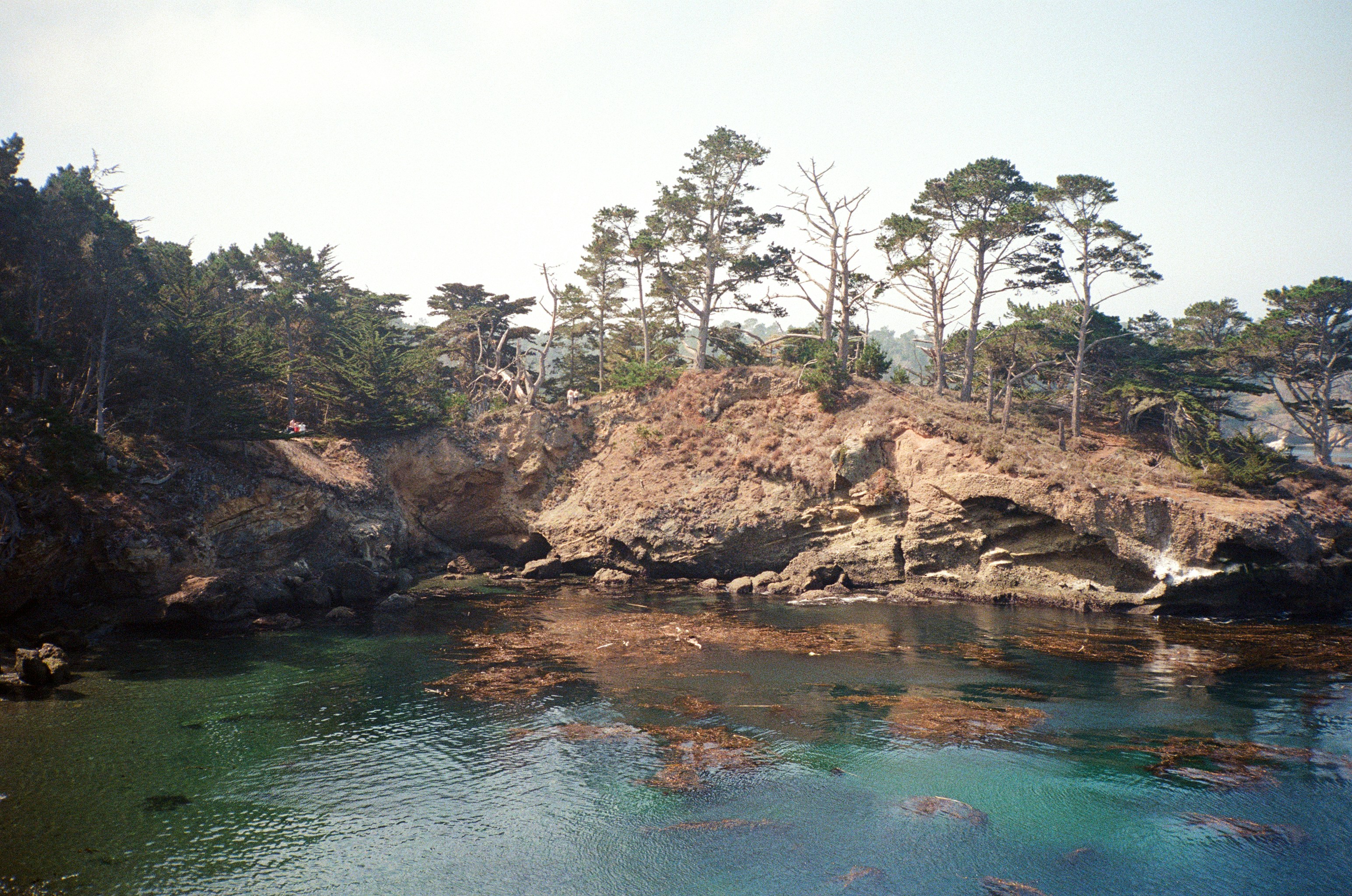 a body of water surrounded by trees and rocks