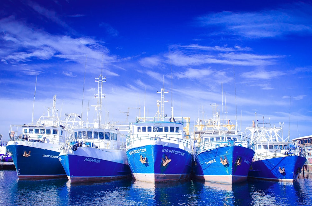 a group of blue and white boats docked in a harbor