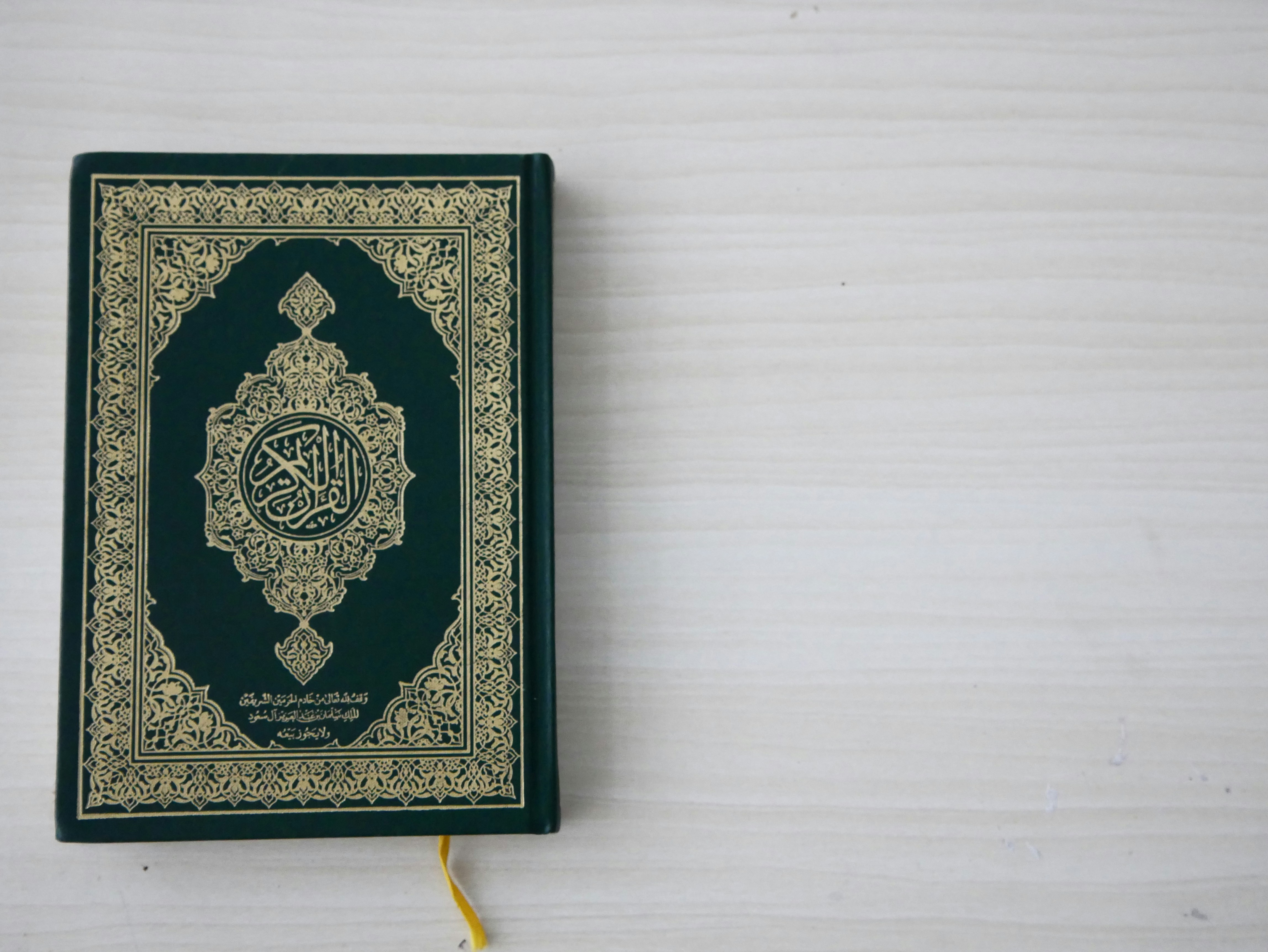 Open luxury book on dark marble surface with gold leaf details, moody low-key lighting