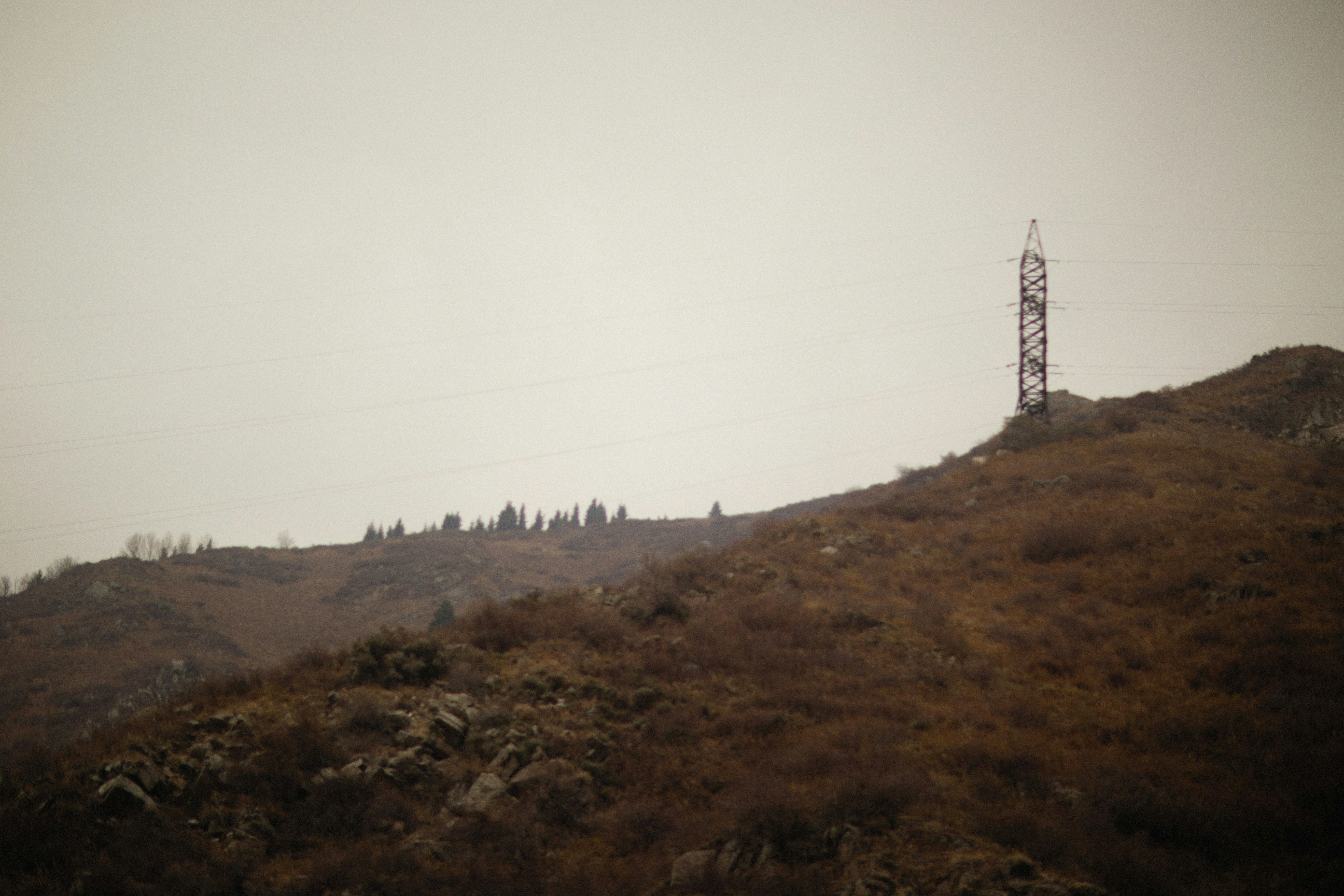 Photo by alexeydemidov