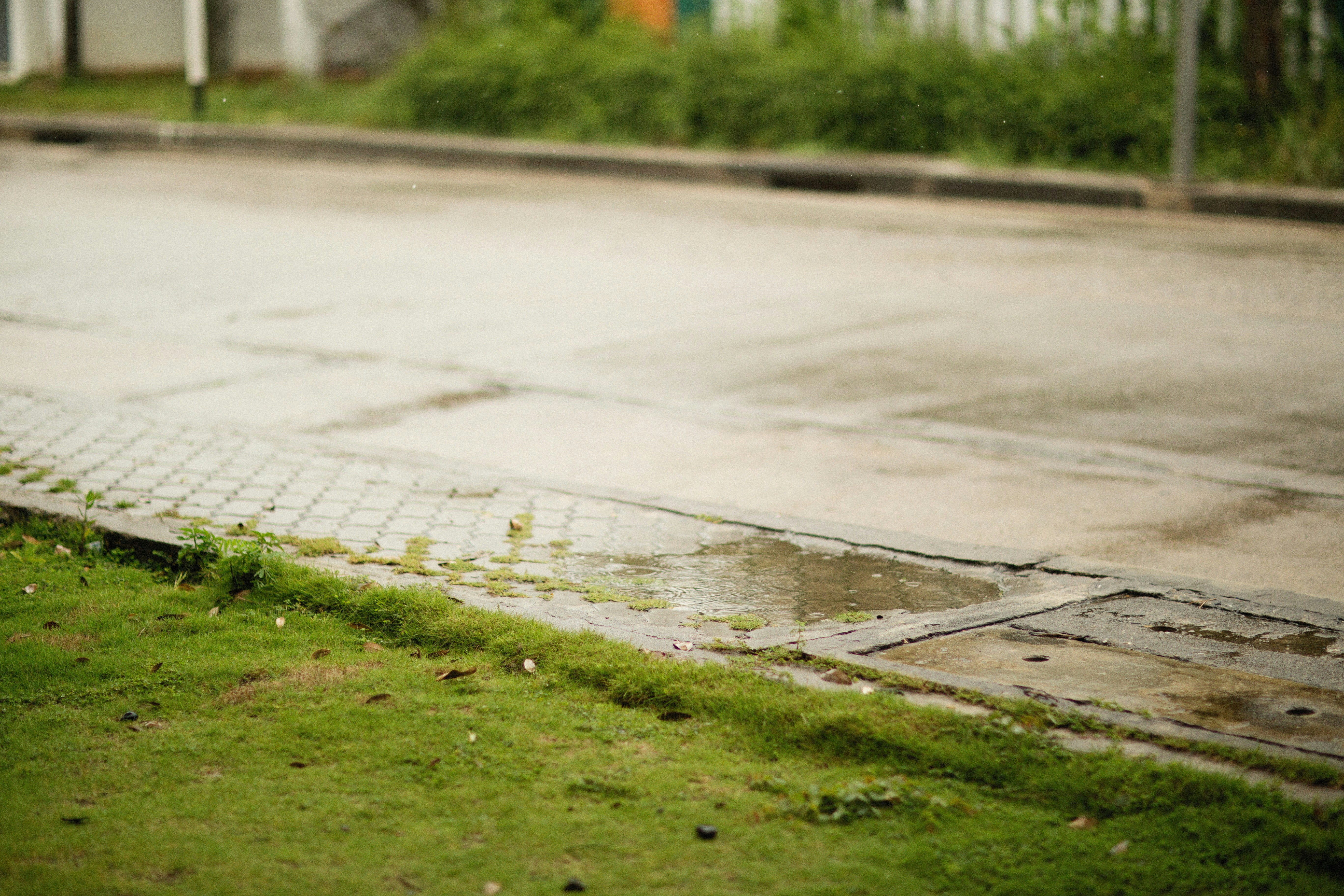 Photo by alexeydemidov