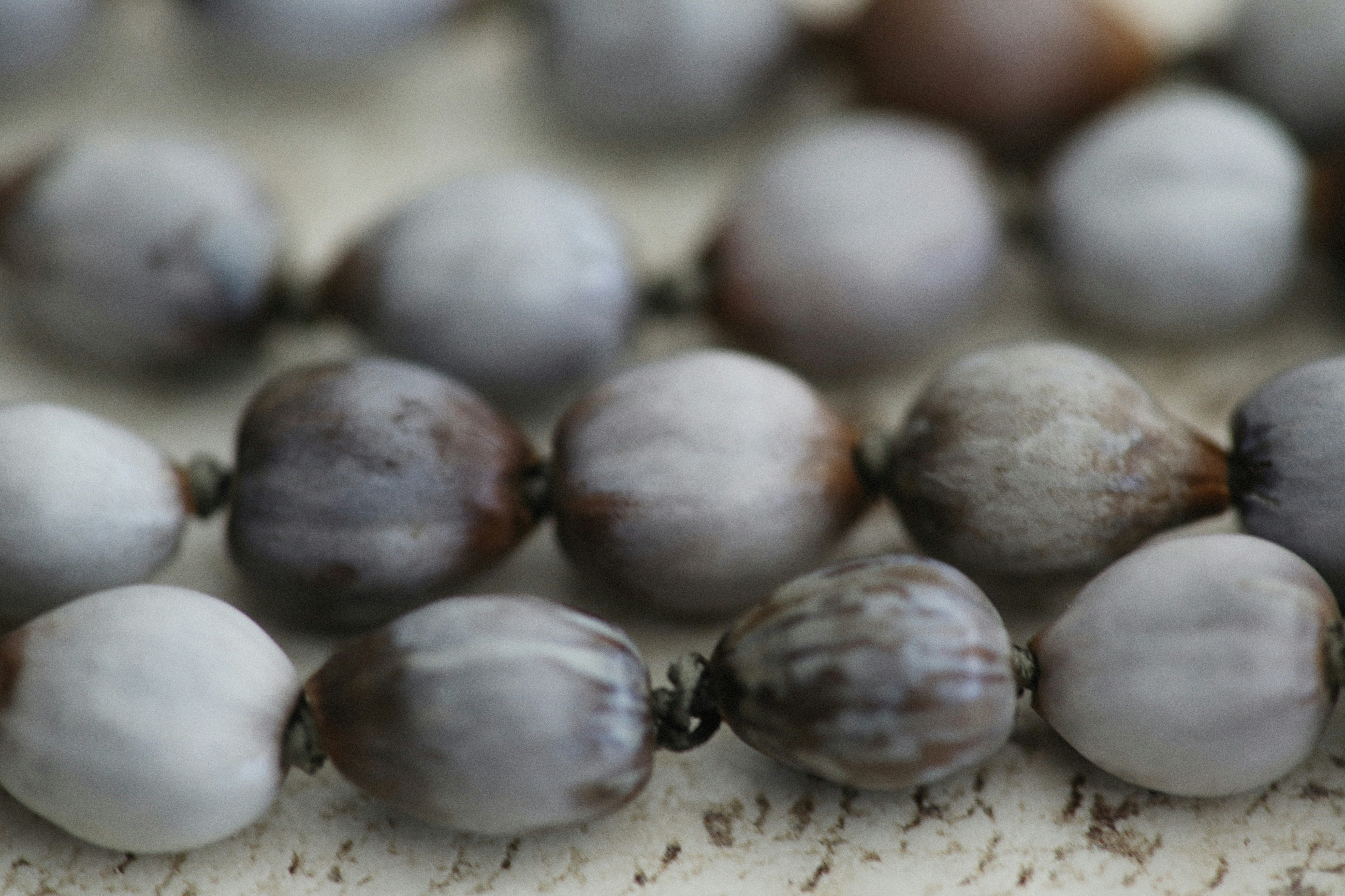 Photo by alexeydemidov