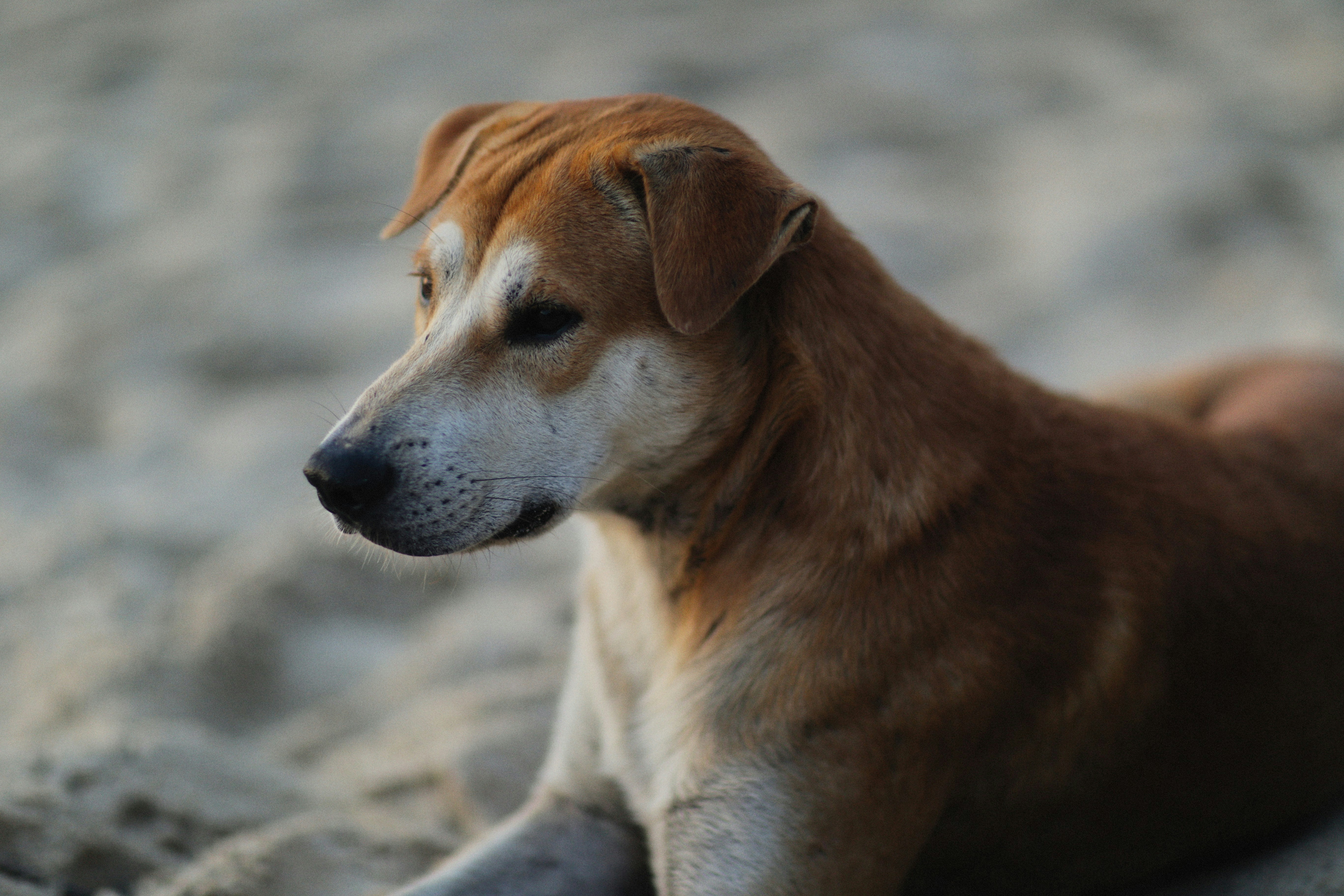 Photo by alexeydemidov