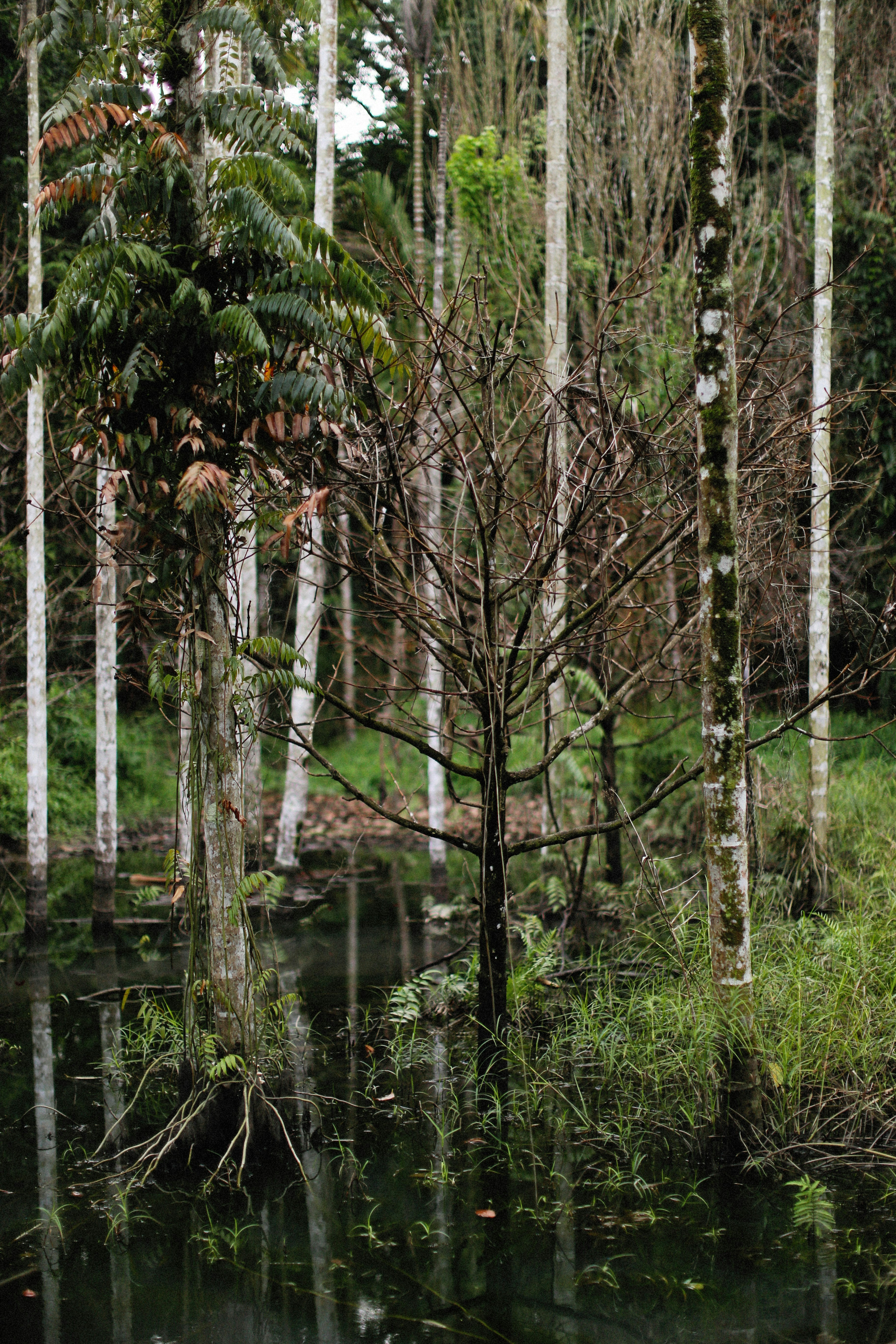 Photo by alexeydemidov