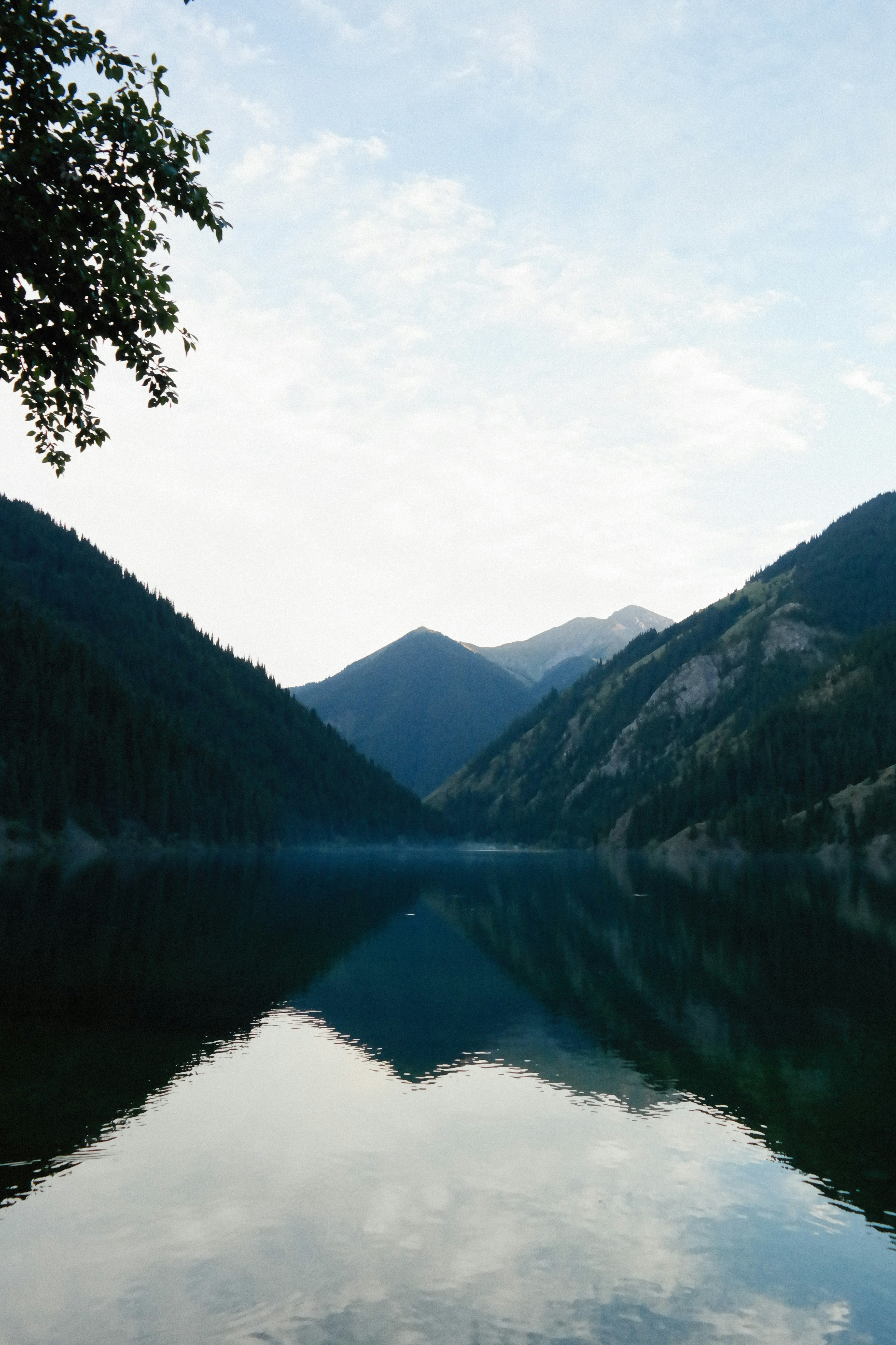 Photo by alexeydemidov