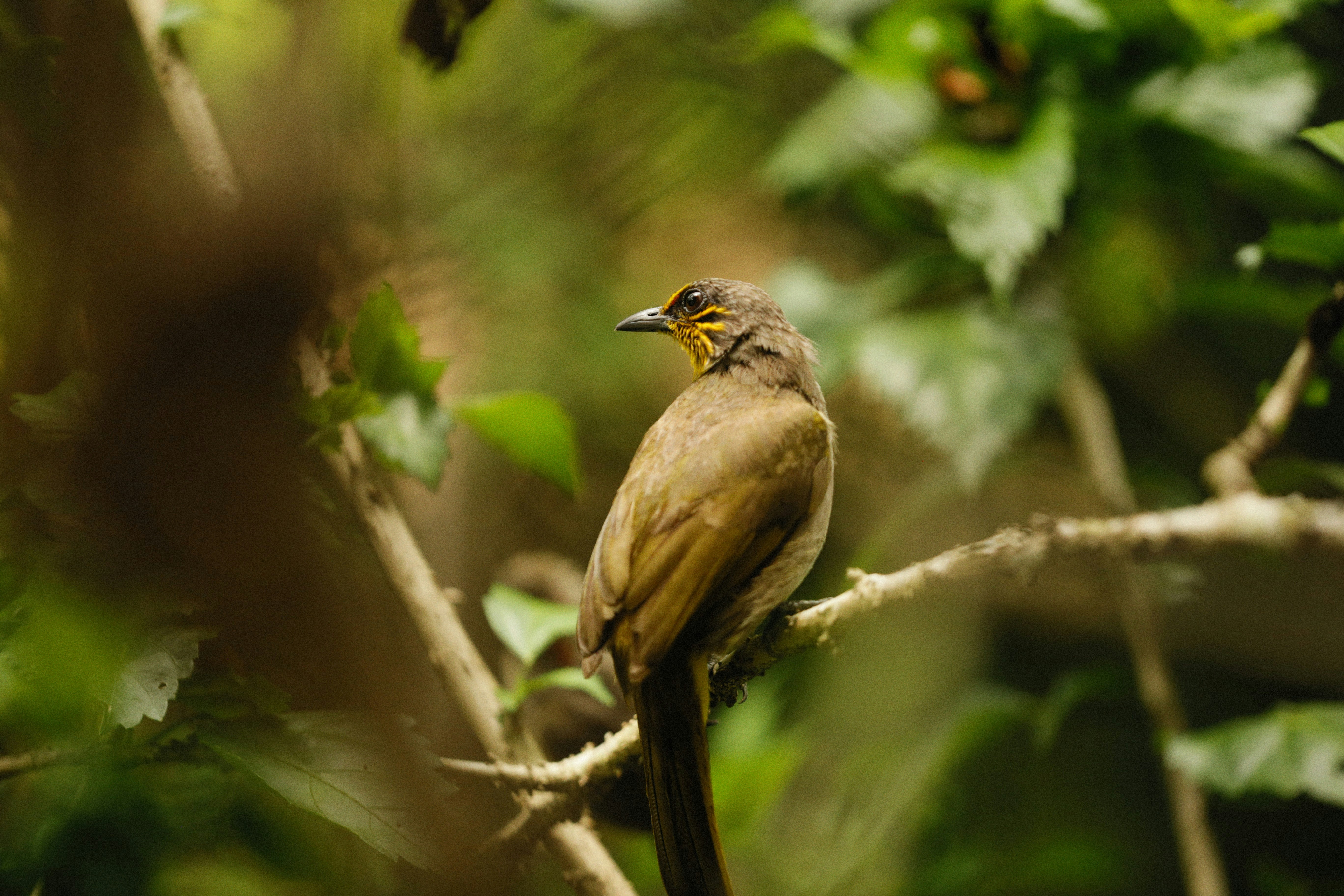 Photo by alexeydemidov