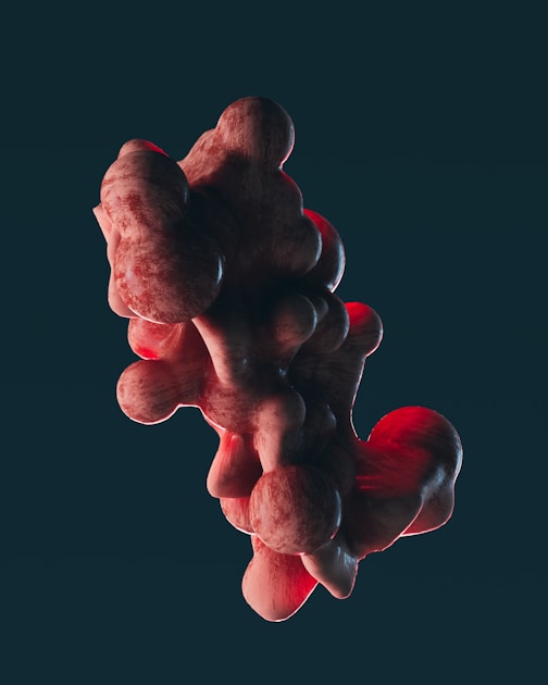 Rapamycin Longevity Drug 2026: New Study Finds It Blunts the Benefits of Exercise