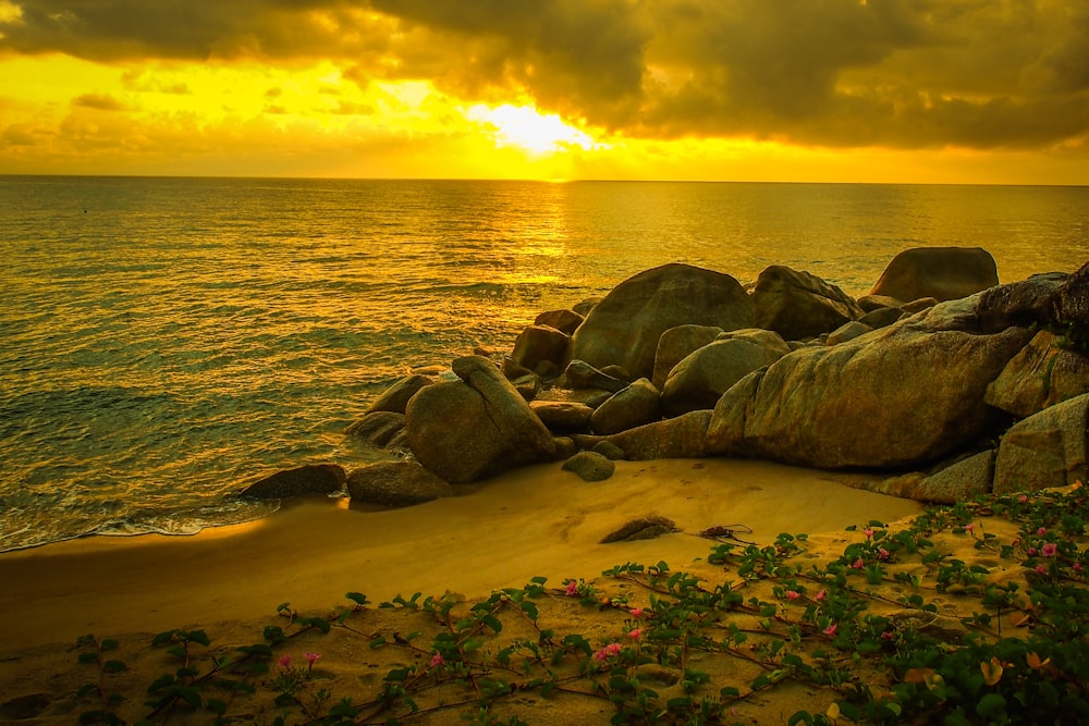 the sun is setting over the ocean and rocks