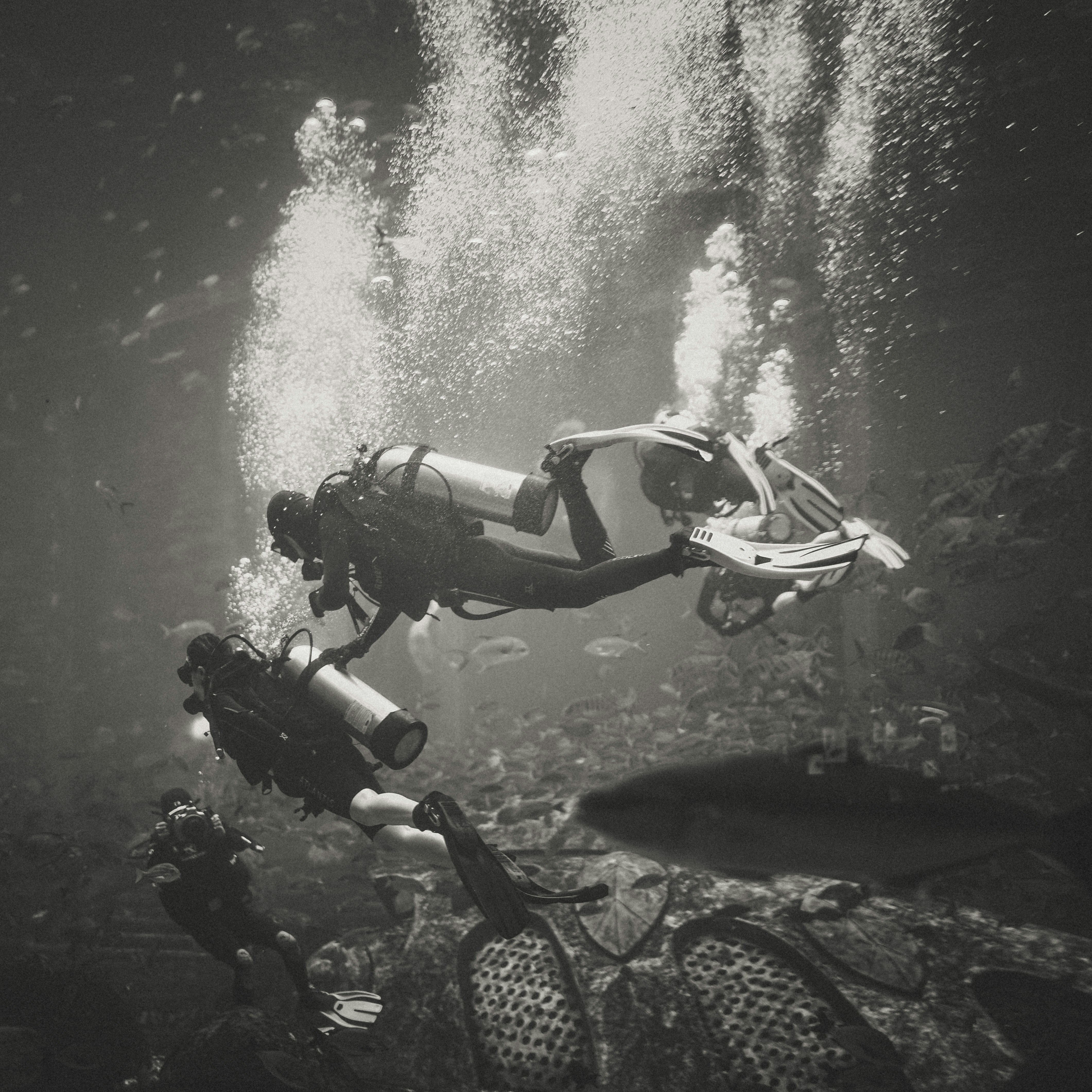 a person in a scuba suit diving in the water