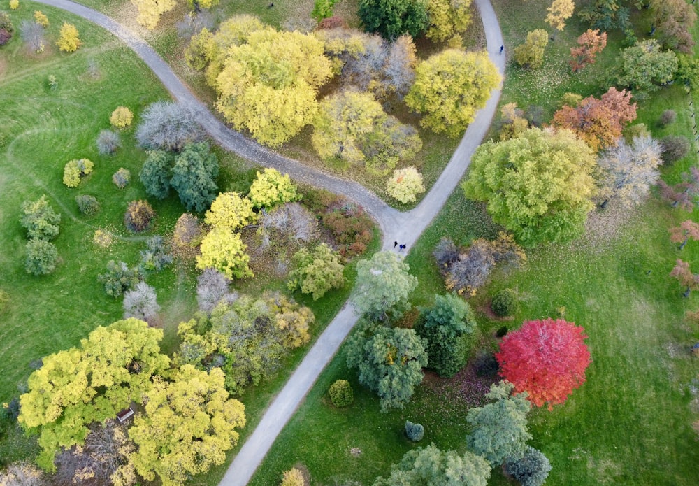 an aerial view of a winding road surrounded by trees