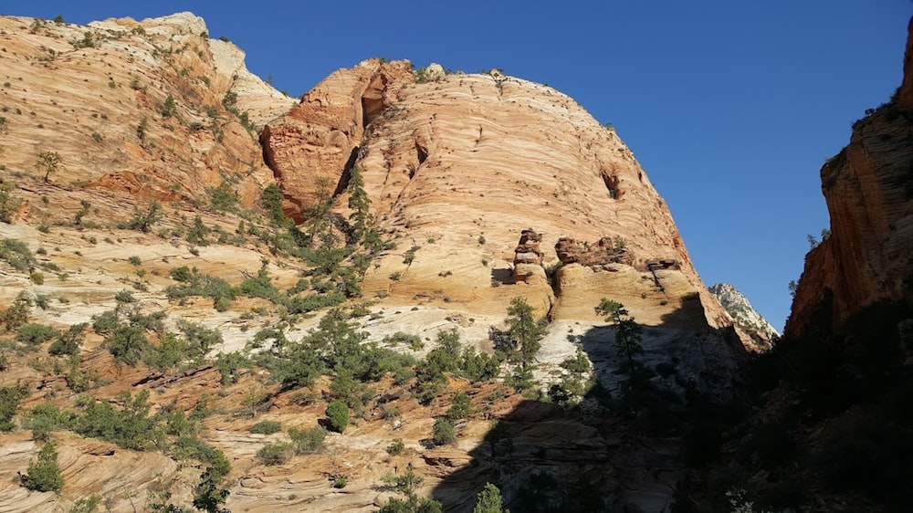 a rocky mountain with trees growing out of it