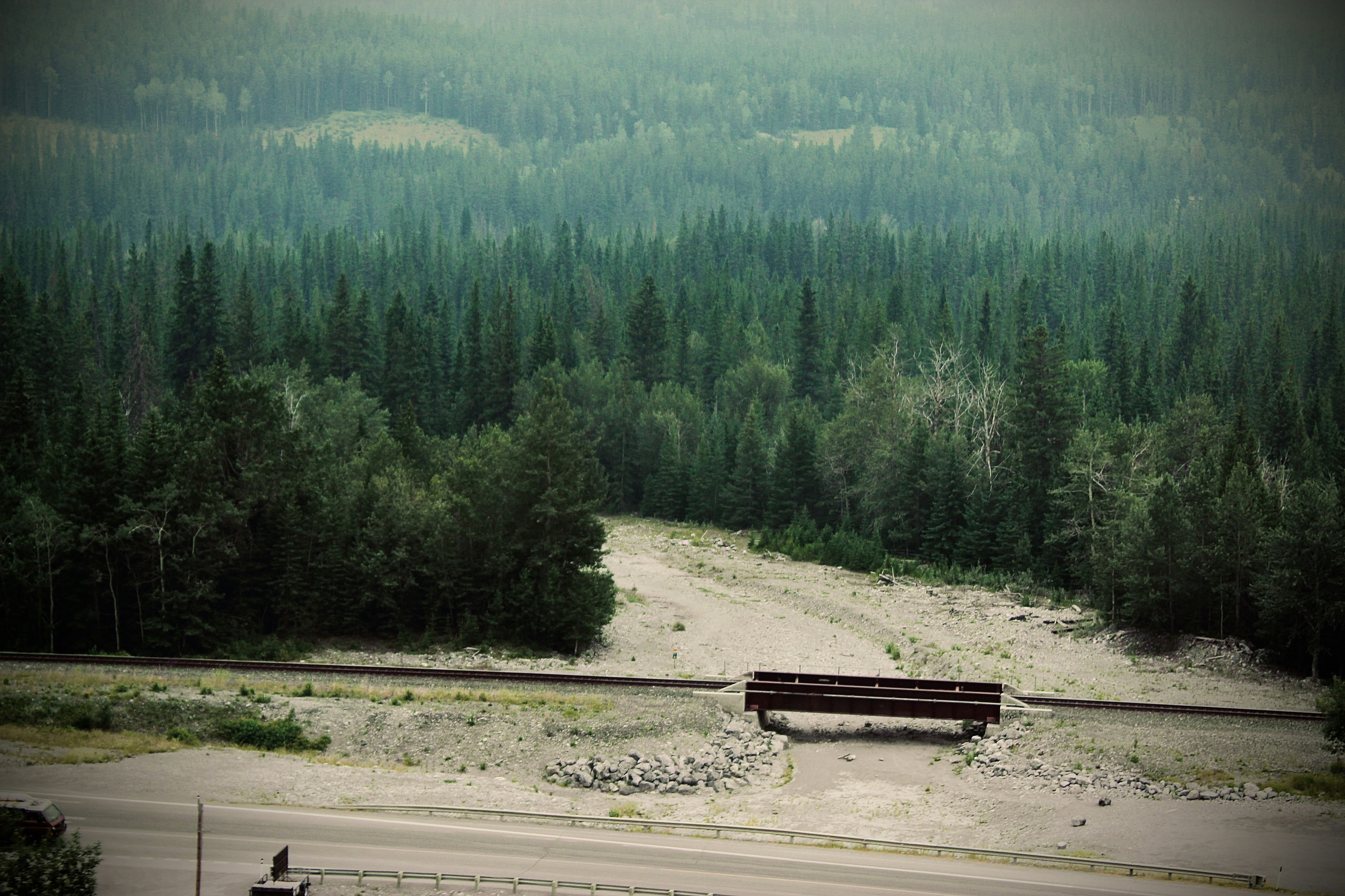 a bench sitting on the side of a road next to a forest
