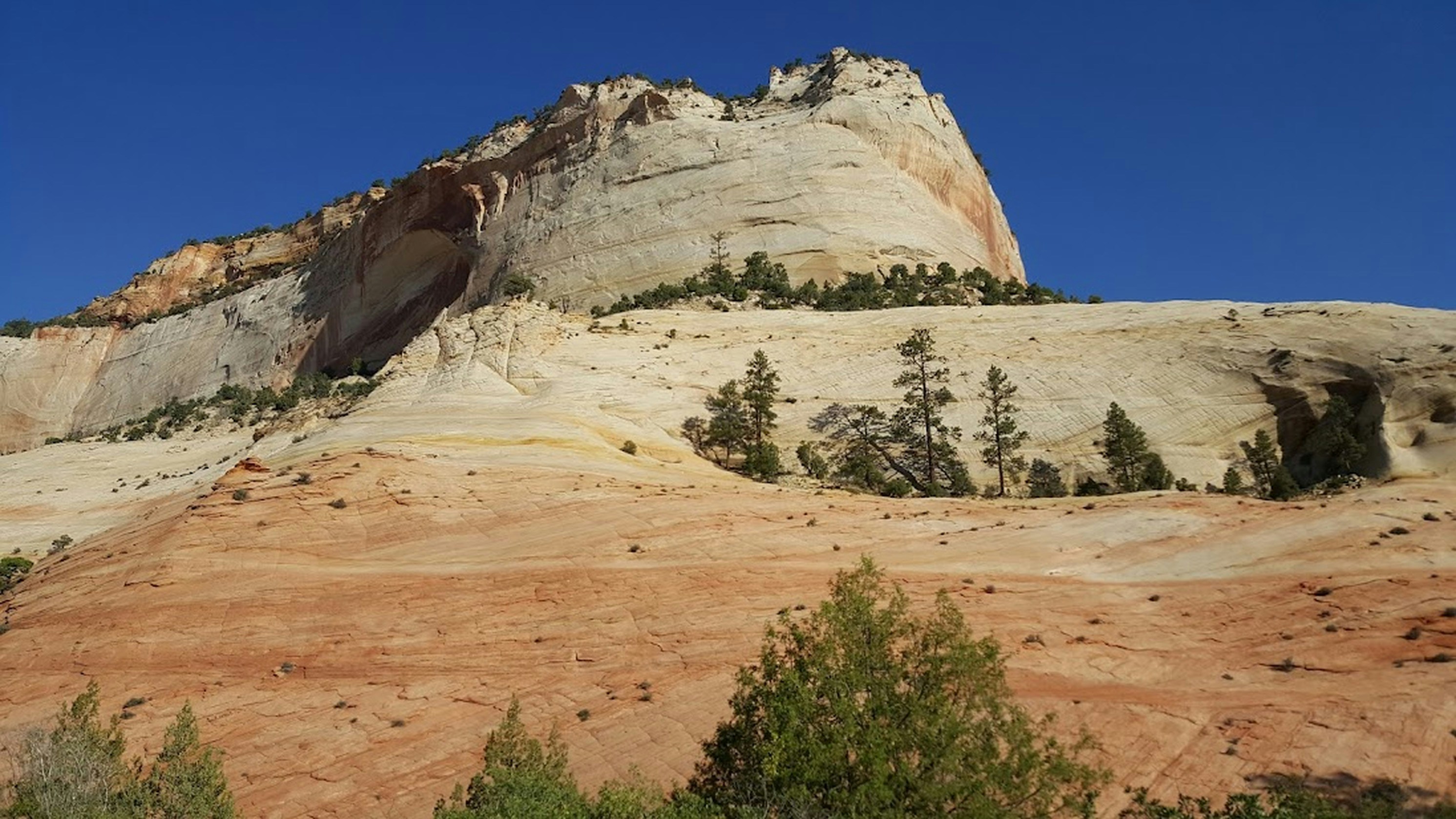 Photo by prphotography262