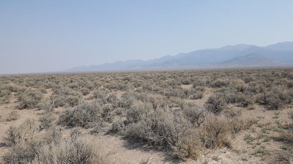 a field with mountains in the background