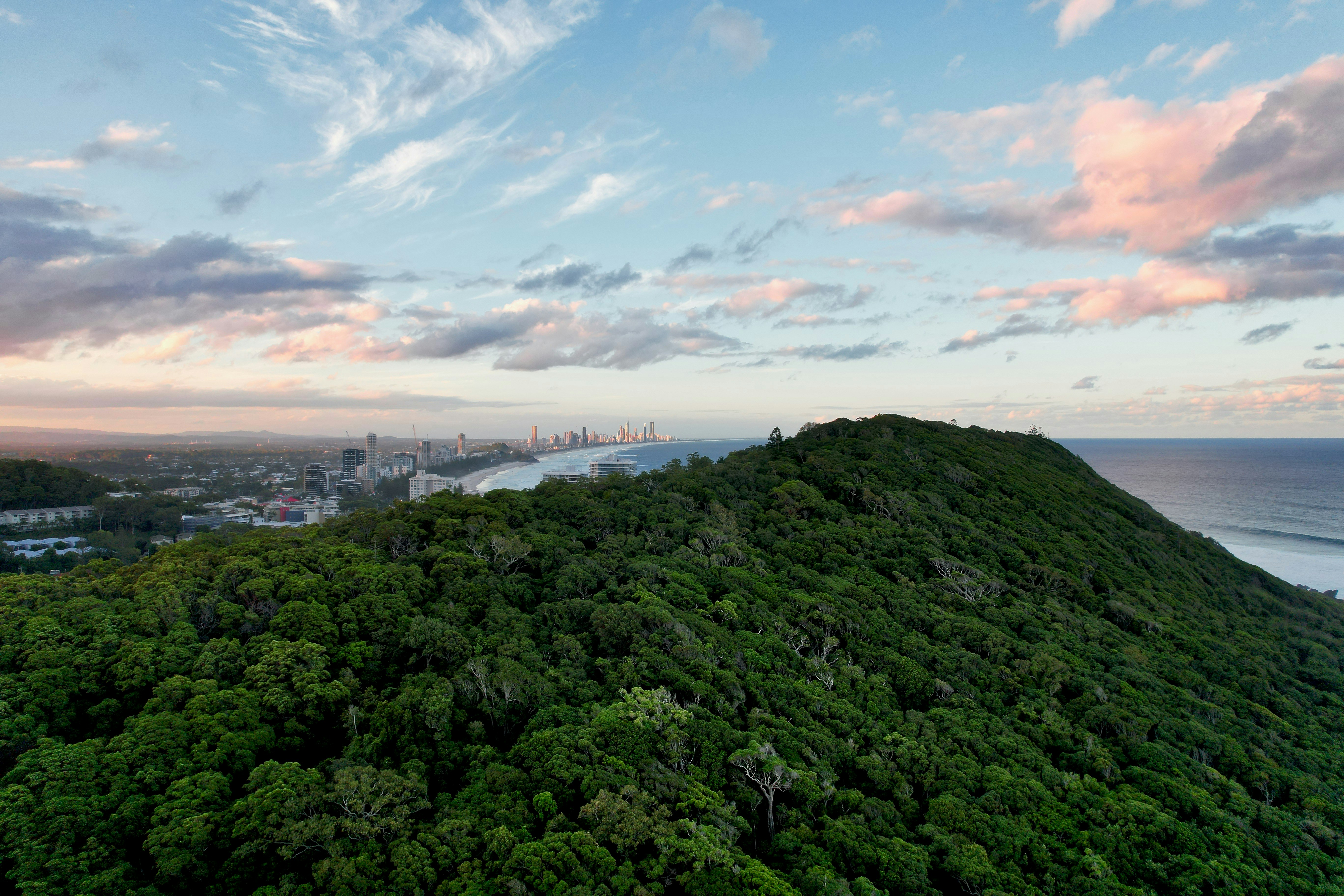 a lush green hillside with a city in the distance