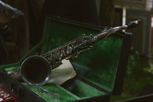 a close up of a saxophone in a case