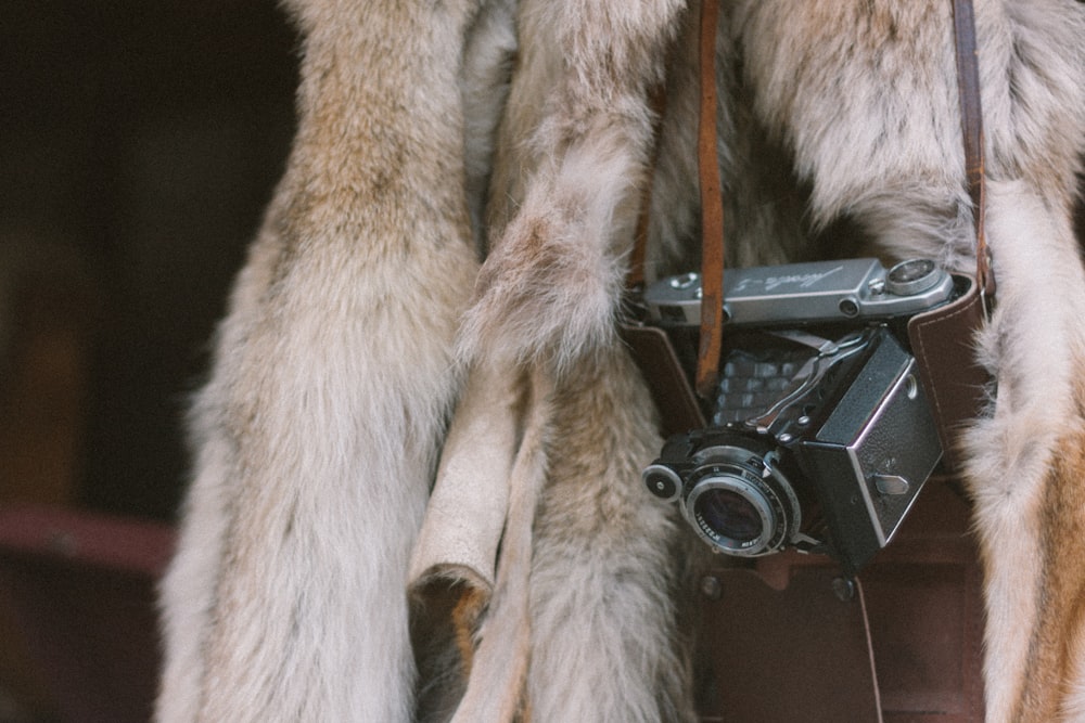 a close up of a camera attached to a fur coat