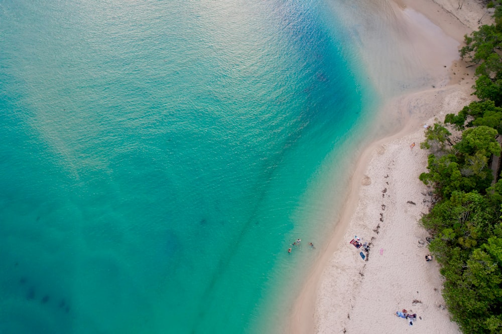 une vue aérienne d’une plage avec des gens dessus