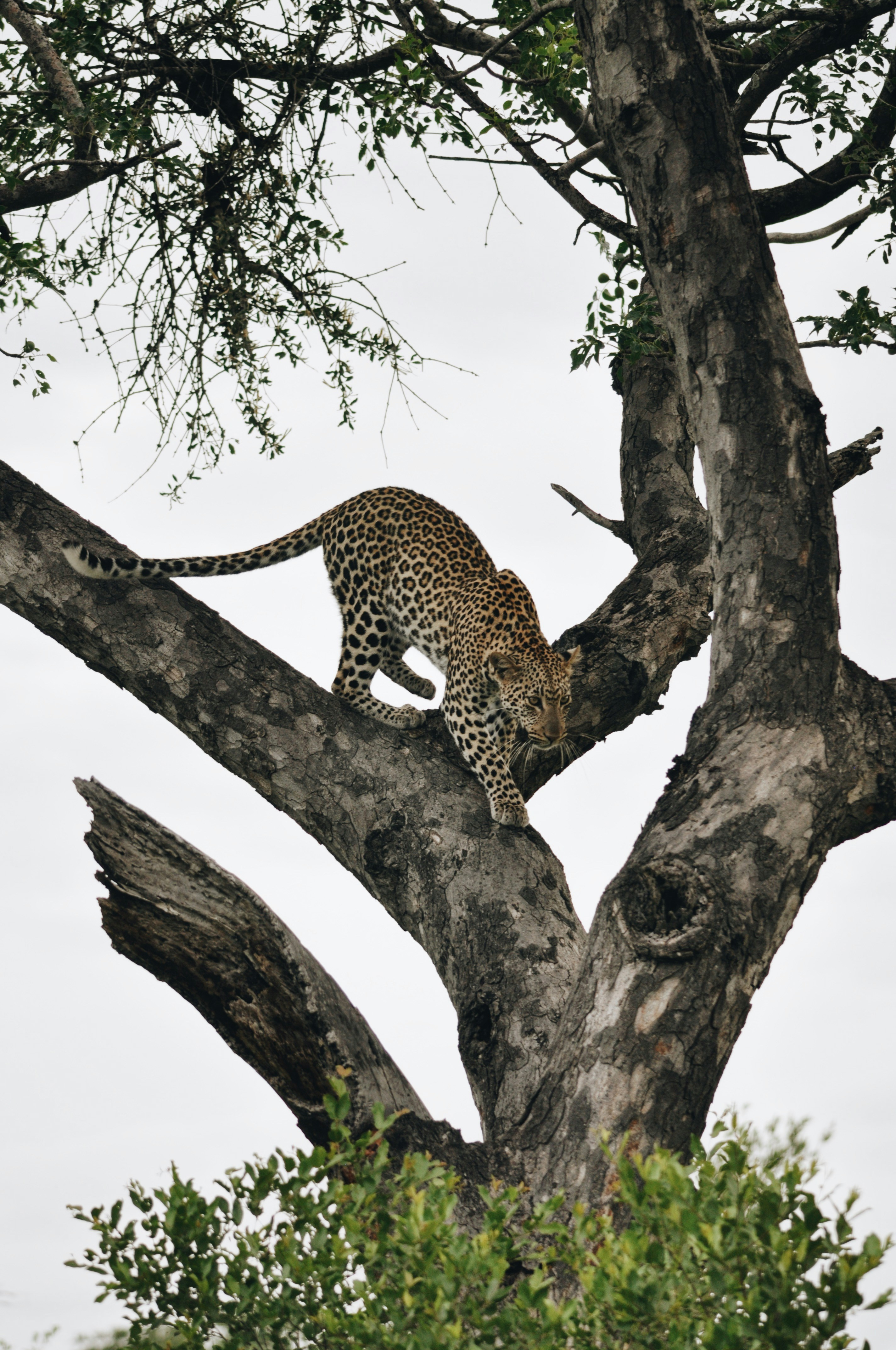 Photo by mack_kruger11