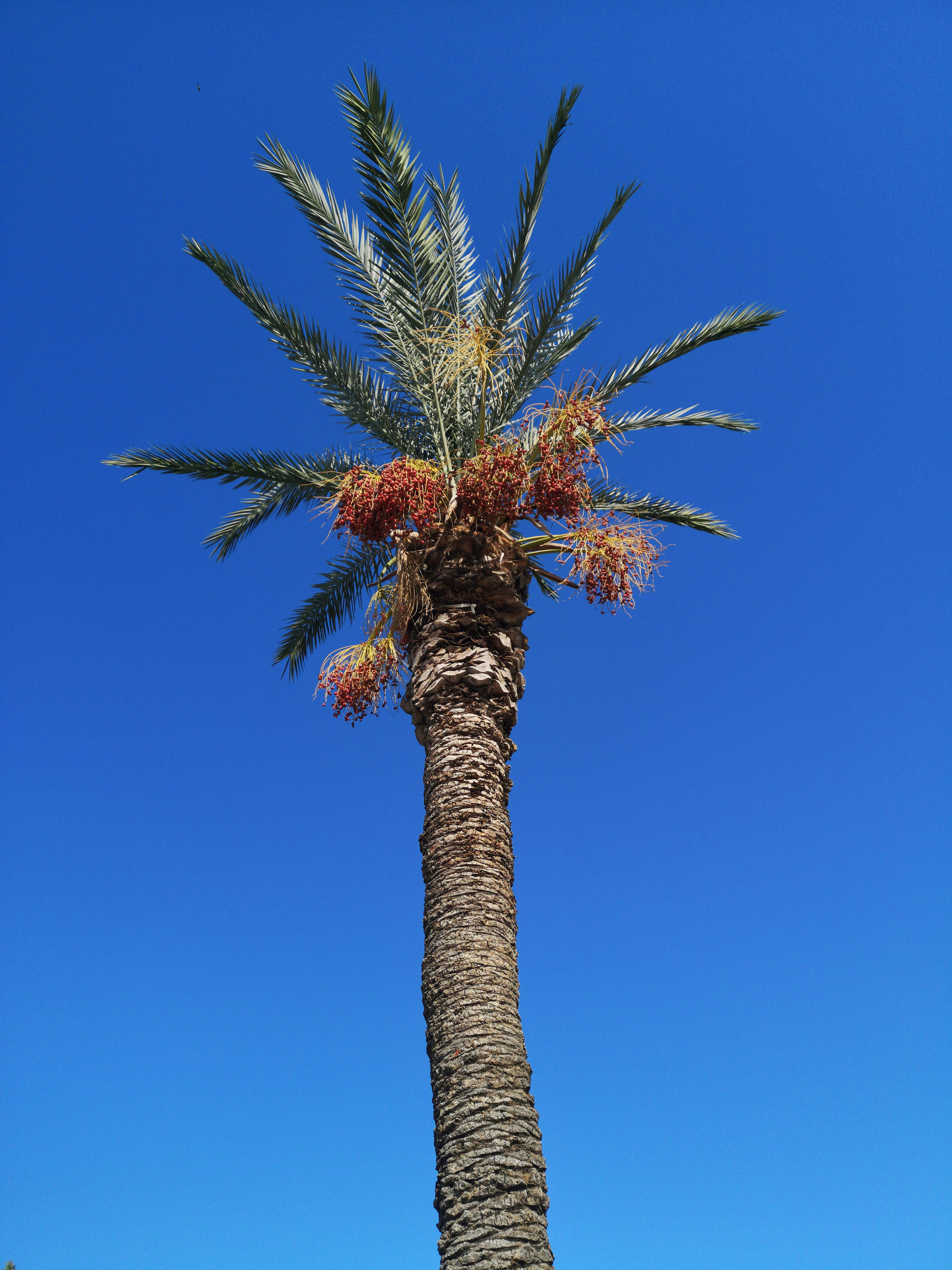 Photo by enginakyurt