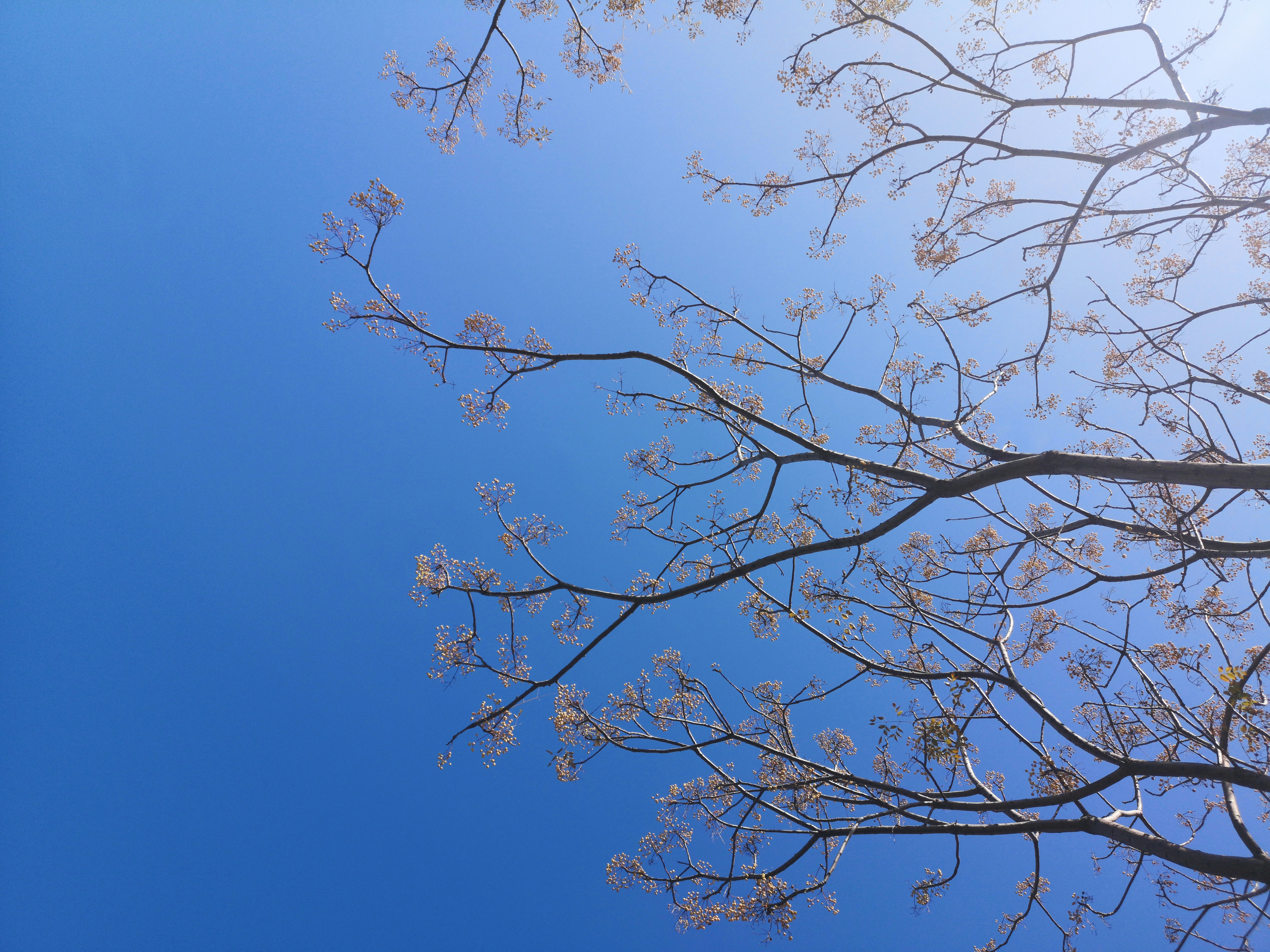 Photo by enginakyurt