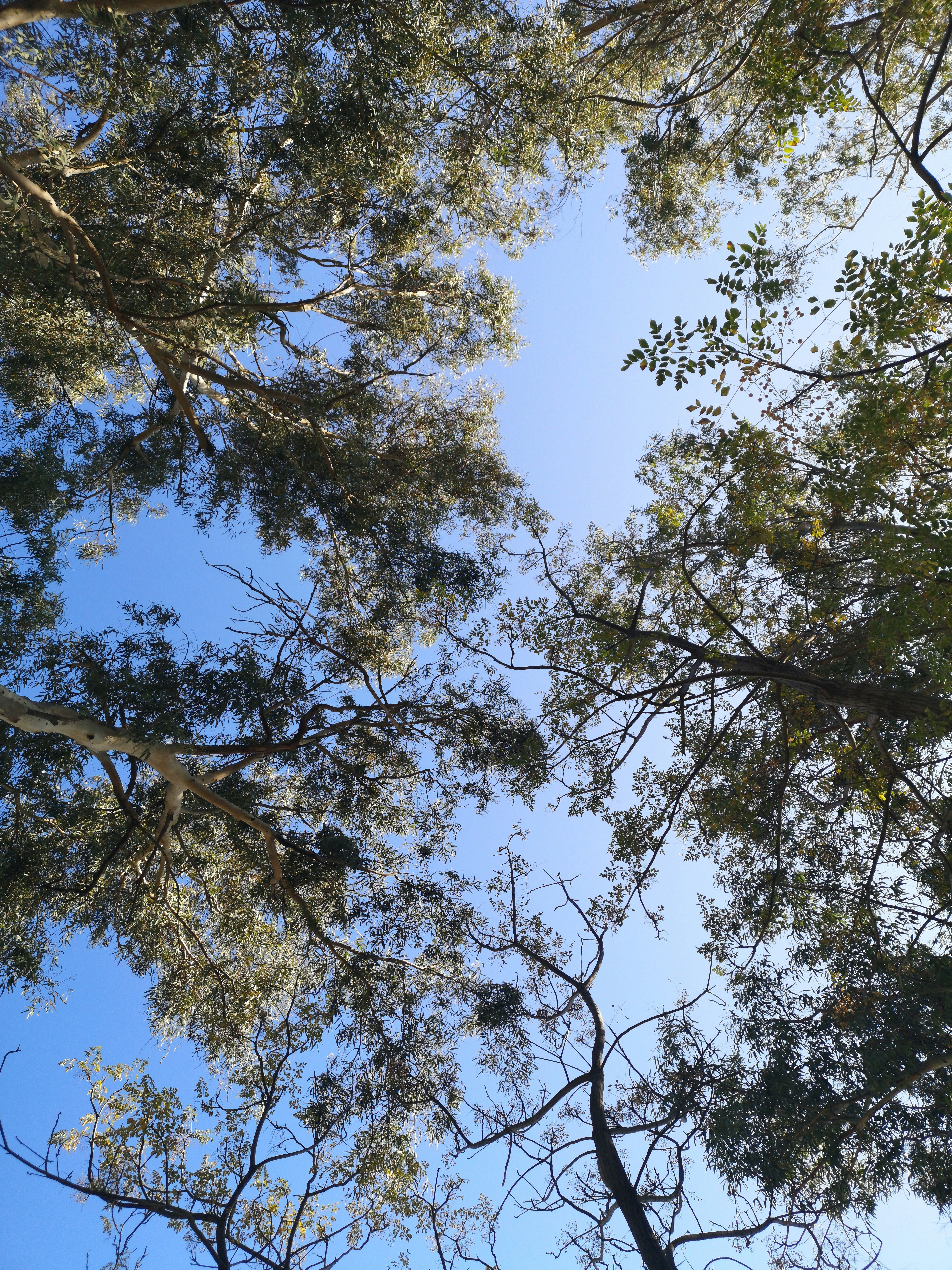 Photo by enginakyurt