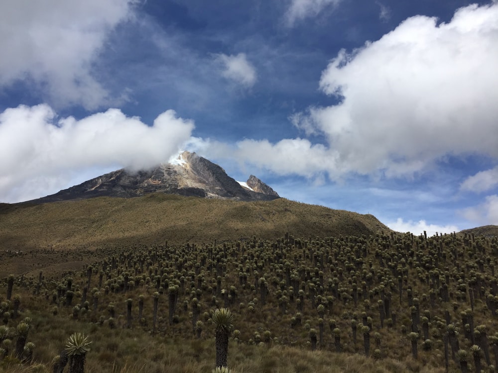 a mountain with a snow capped peak in the distance