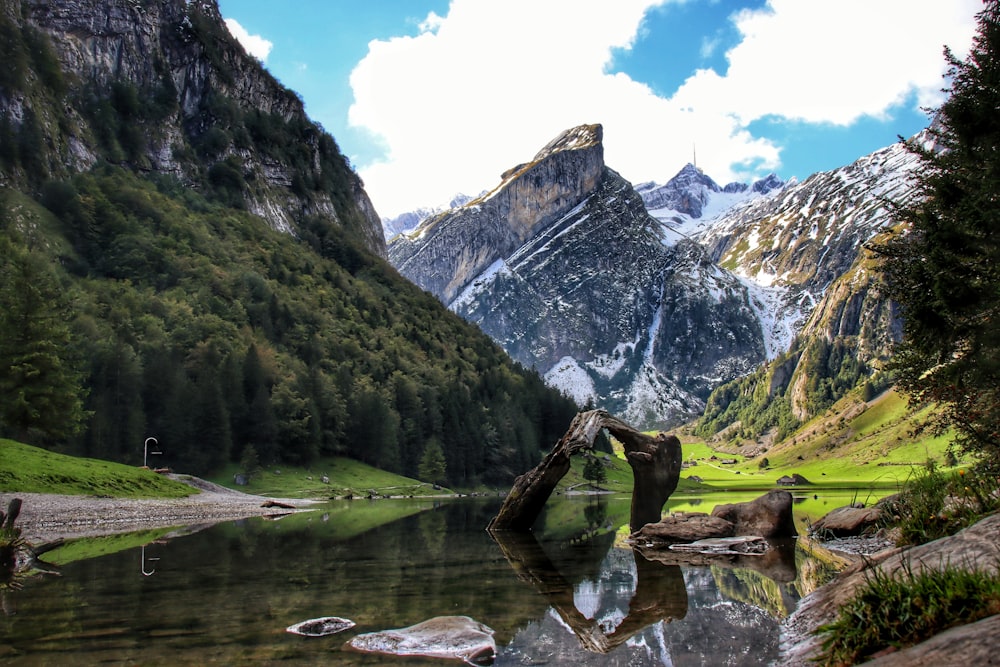 a lake surrounded by mountains and trees