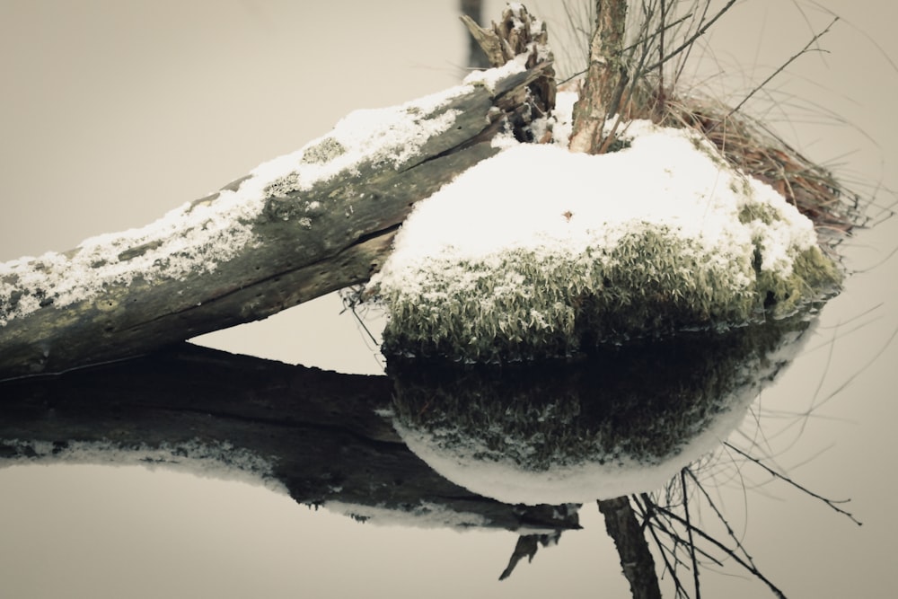 a snow covered rock sitting on top of a body of water