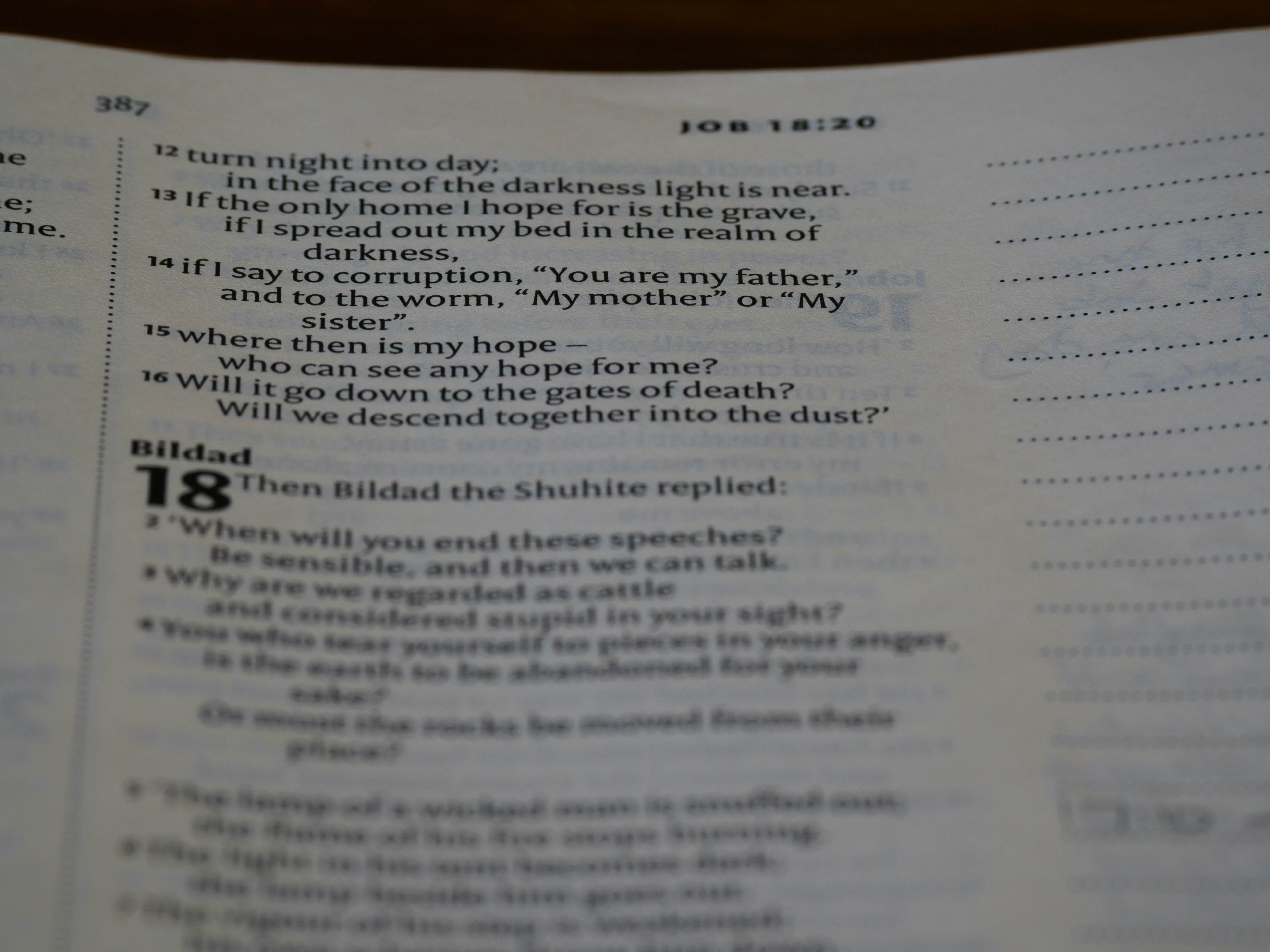 a close up of a book with text on it